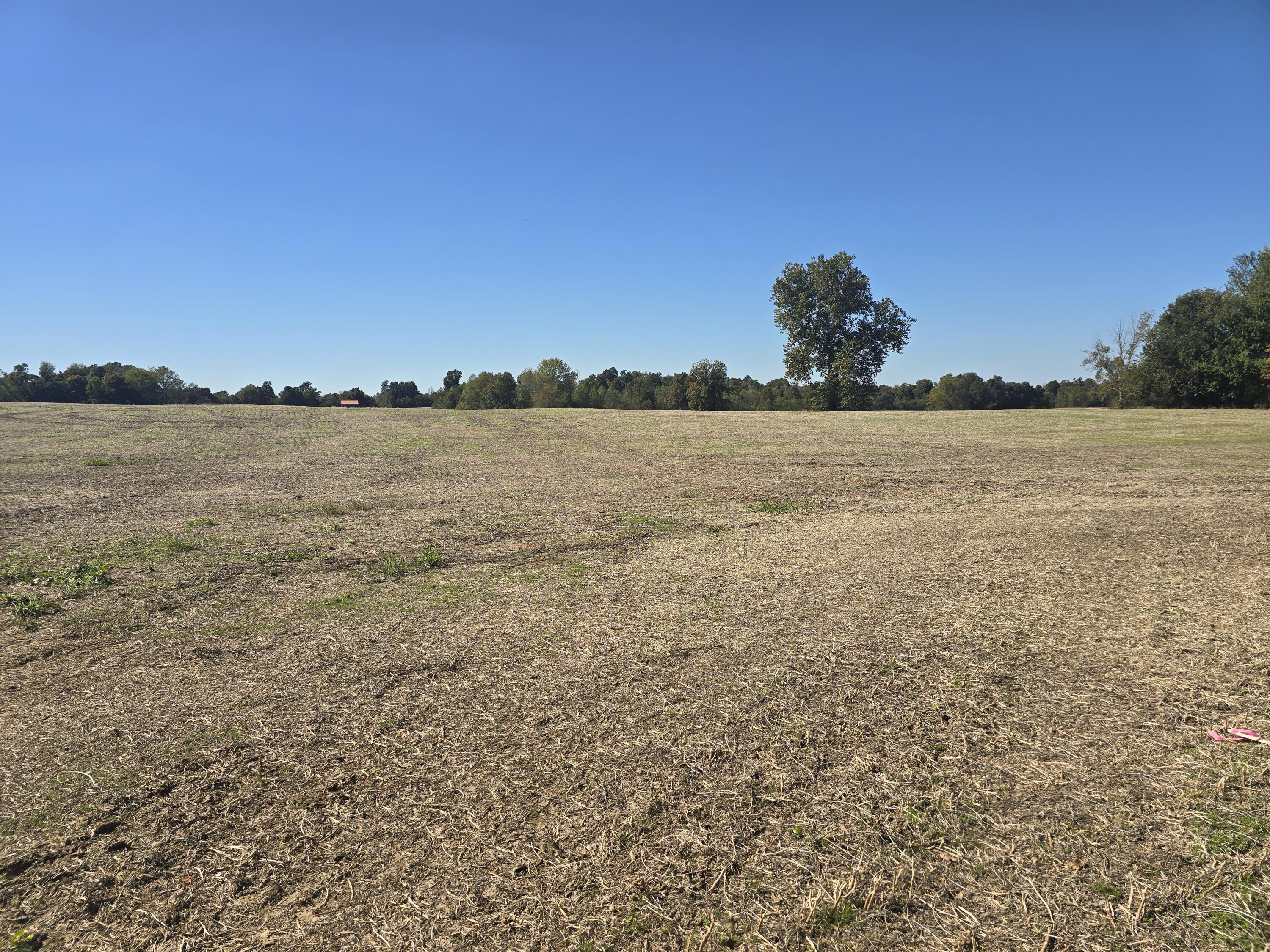 Tract Iv N State Route 295 Property Photo 1