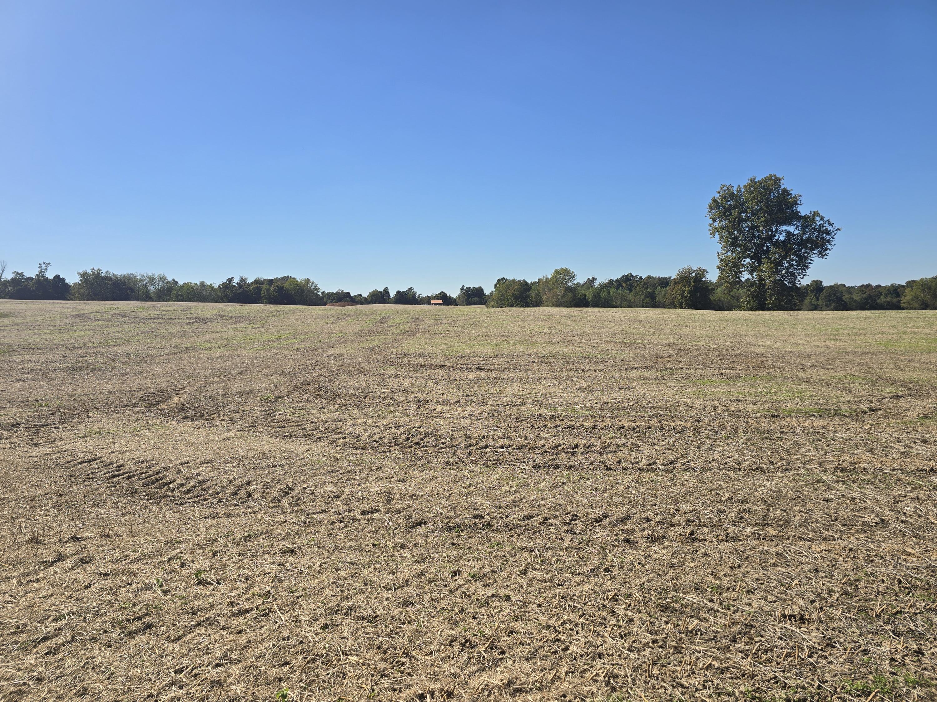 Tract Iv N State Route 295 Property Photo 2