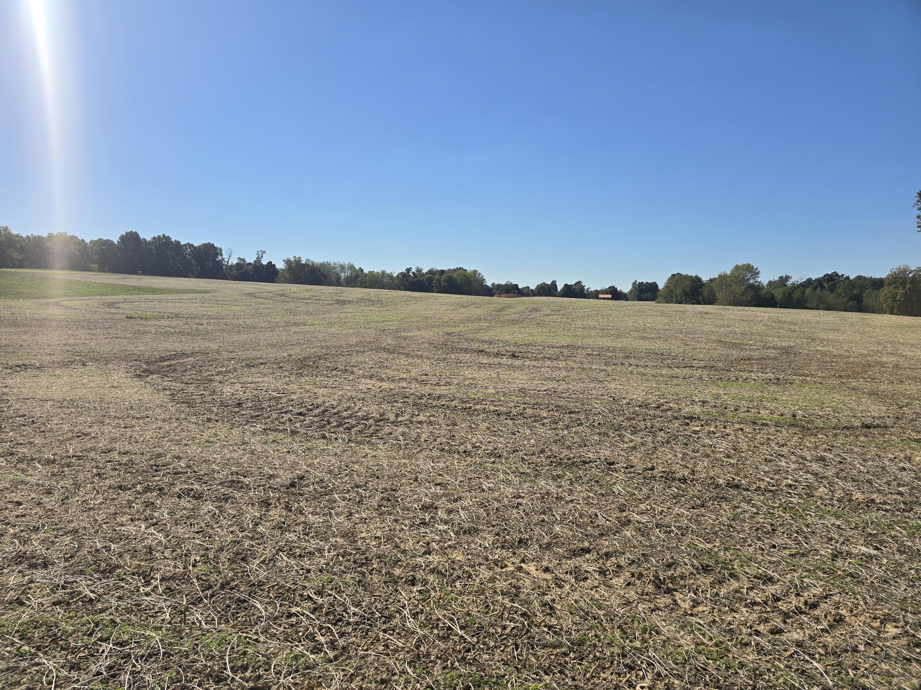Tract Iv N State Route 295 Property Photo 3