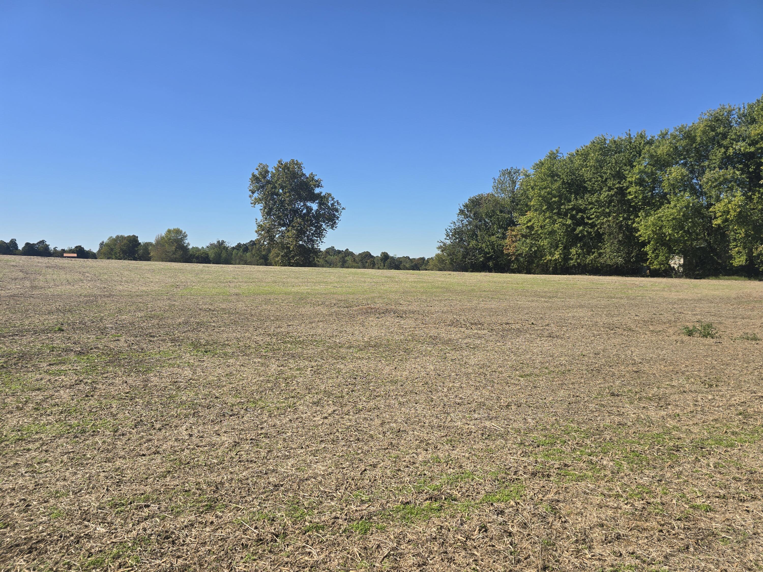Tract Iv N State Route 295 Property Photo 5