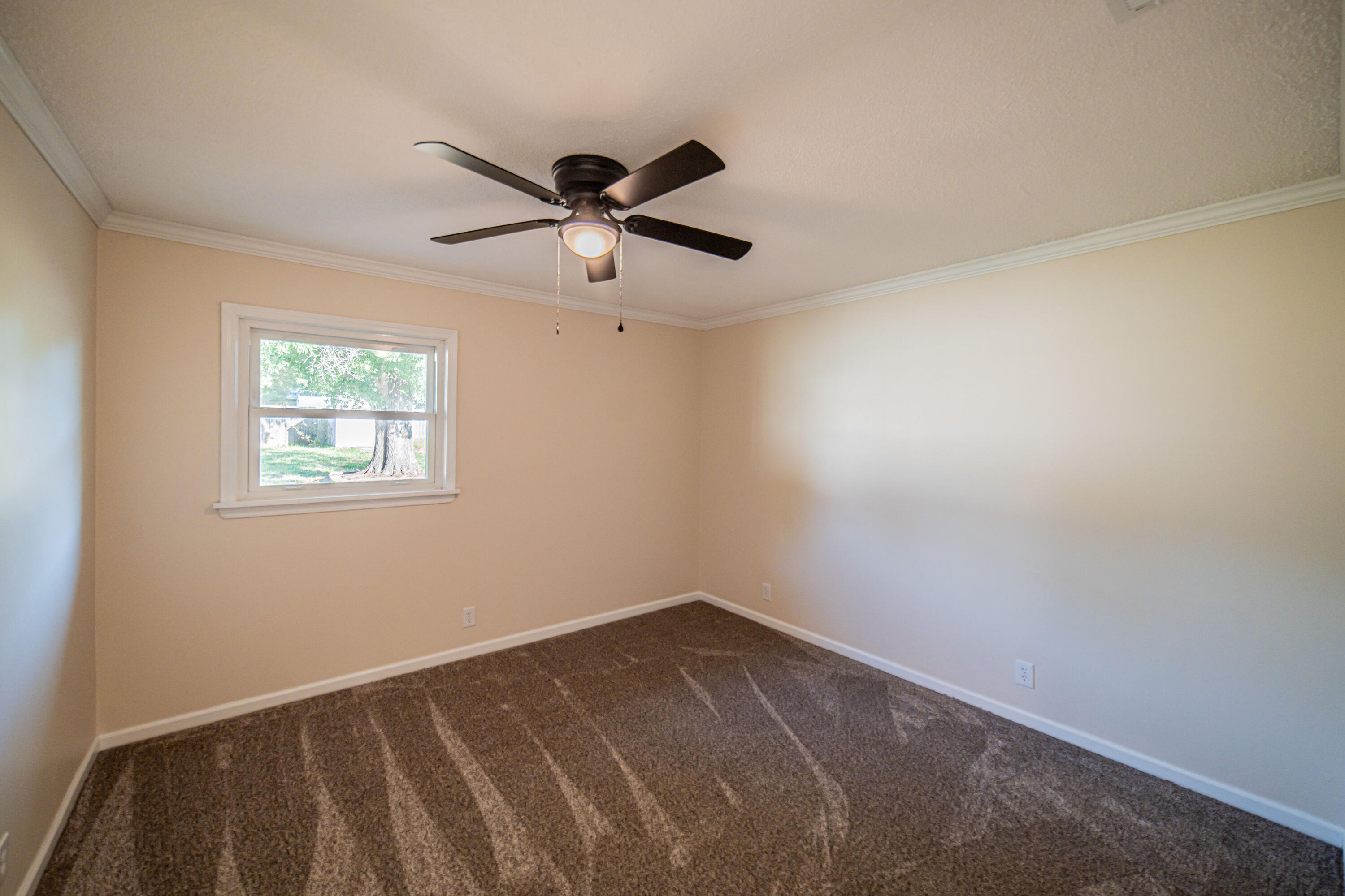 3929 Cleary Drive Property Photo 27