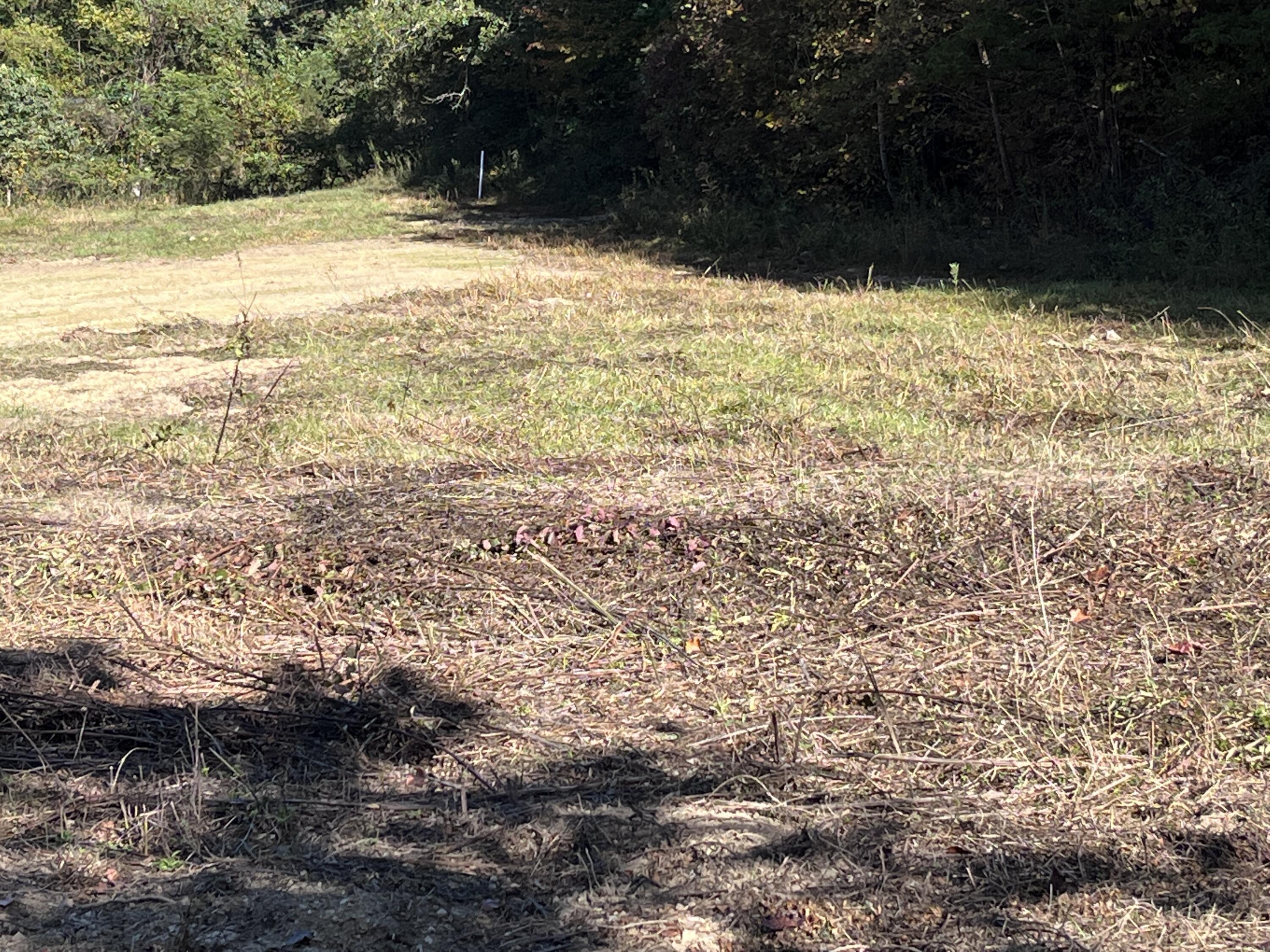 492 Lowder Fork Property Photo 1