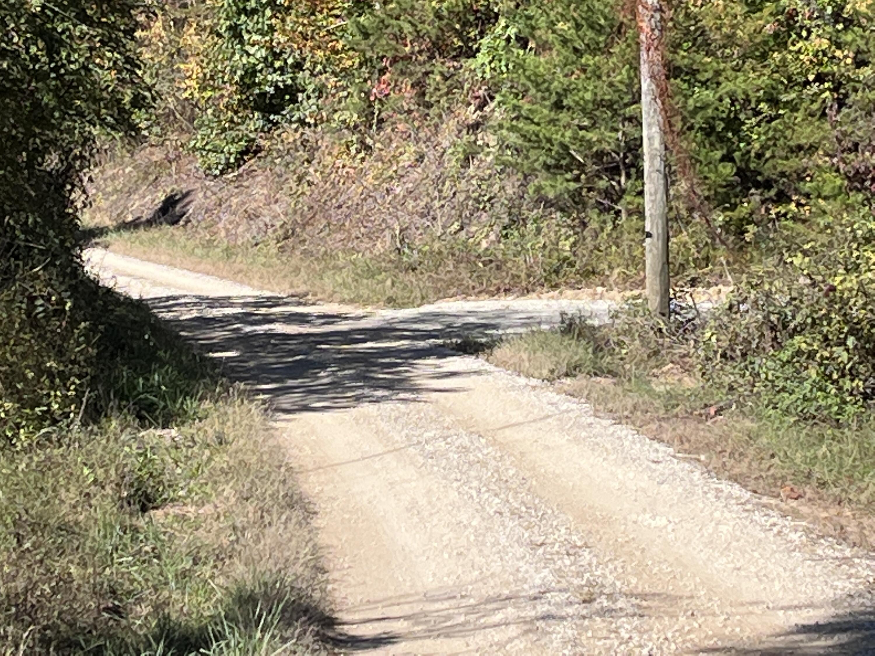 492 Lowder Fork Property Photo 3