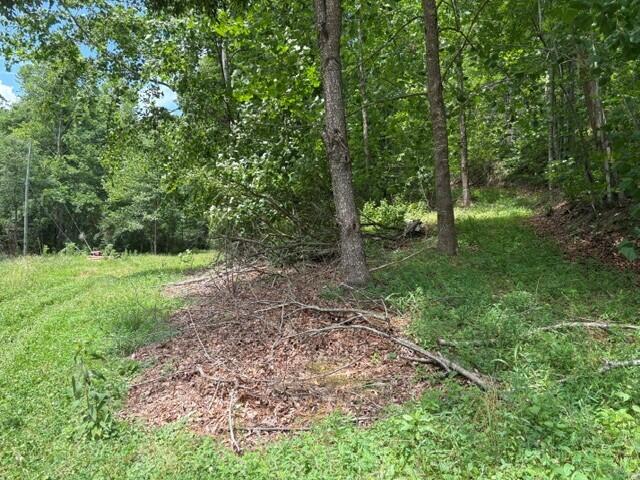 492 Lowder Fork Property Photo 4