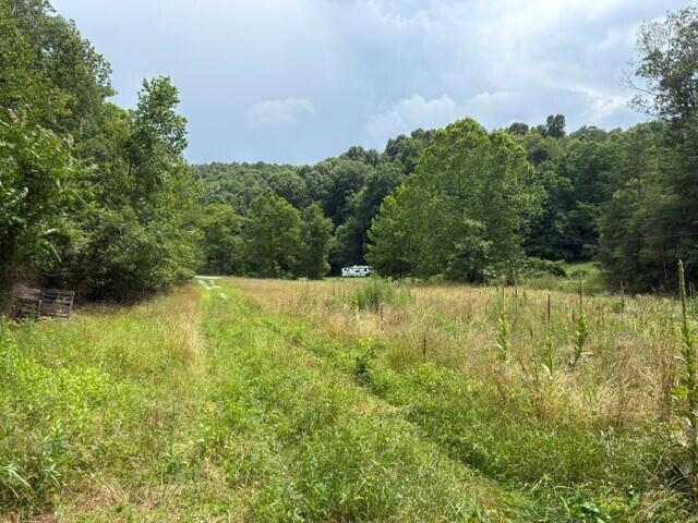492 Lowder Fork Property Photo 5