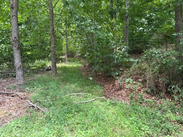 492 Lowder Fork Property Photo 6