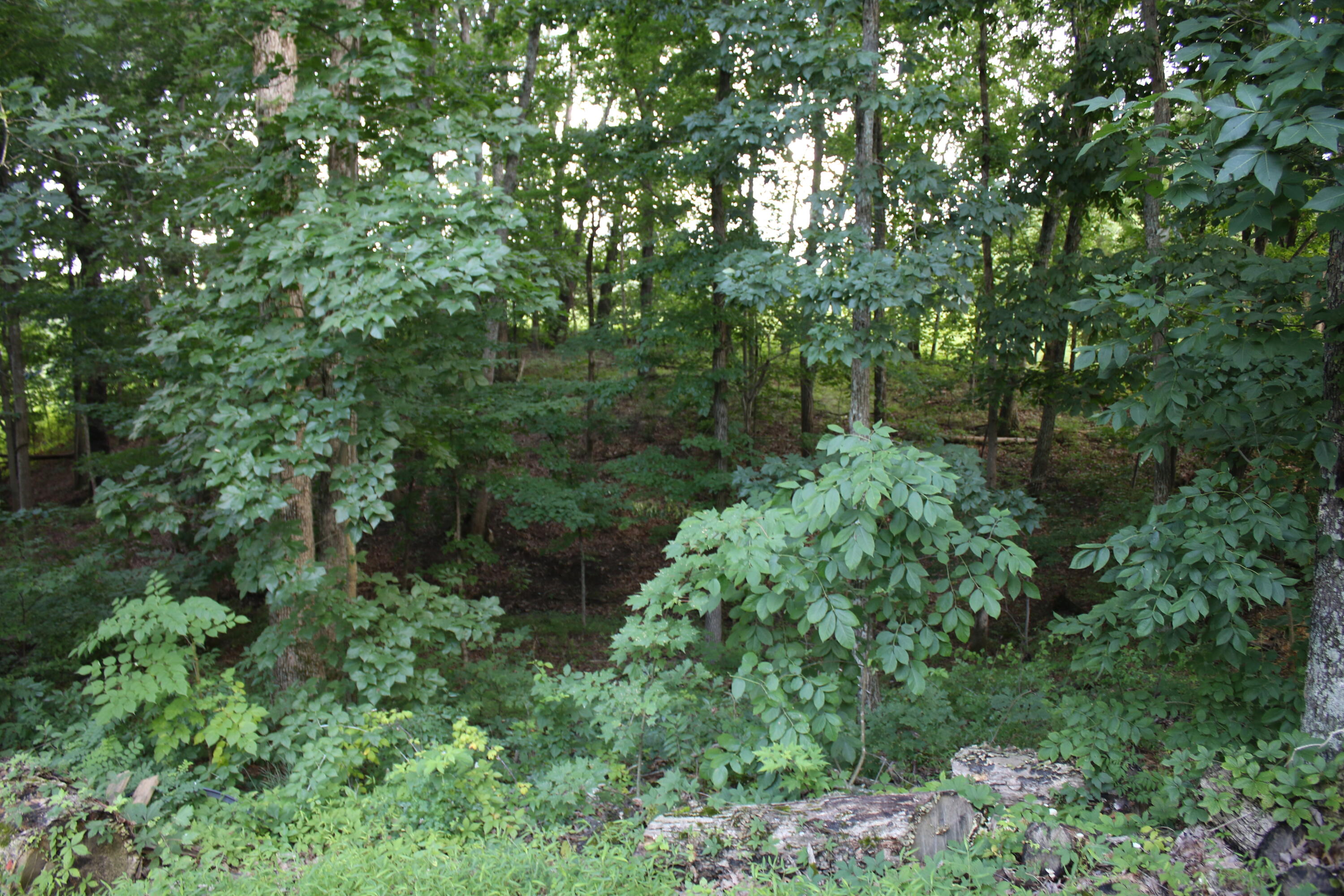 285 Von Linger Lane Property Photo 44