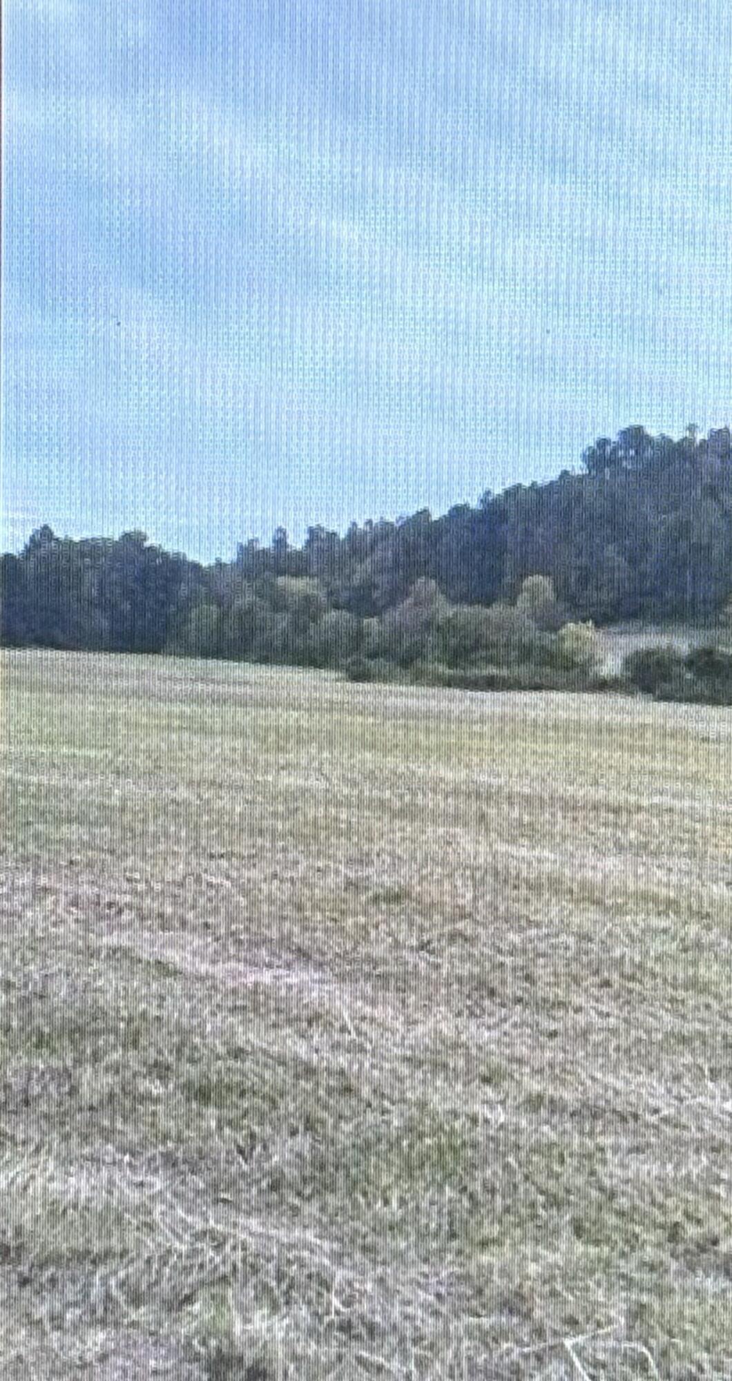 0 State Hwy 233 Property Photo 6