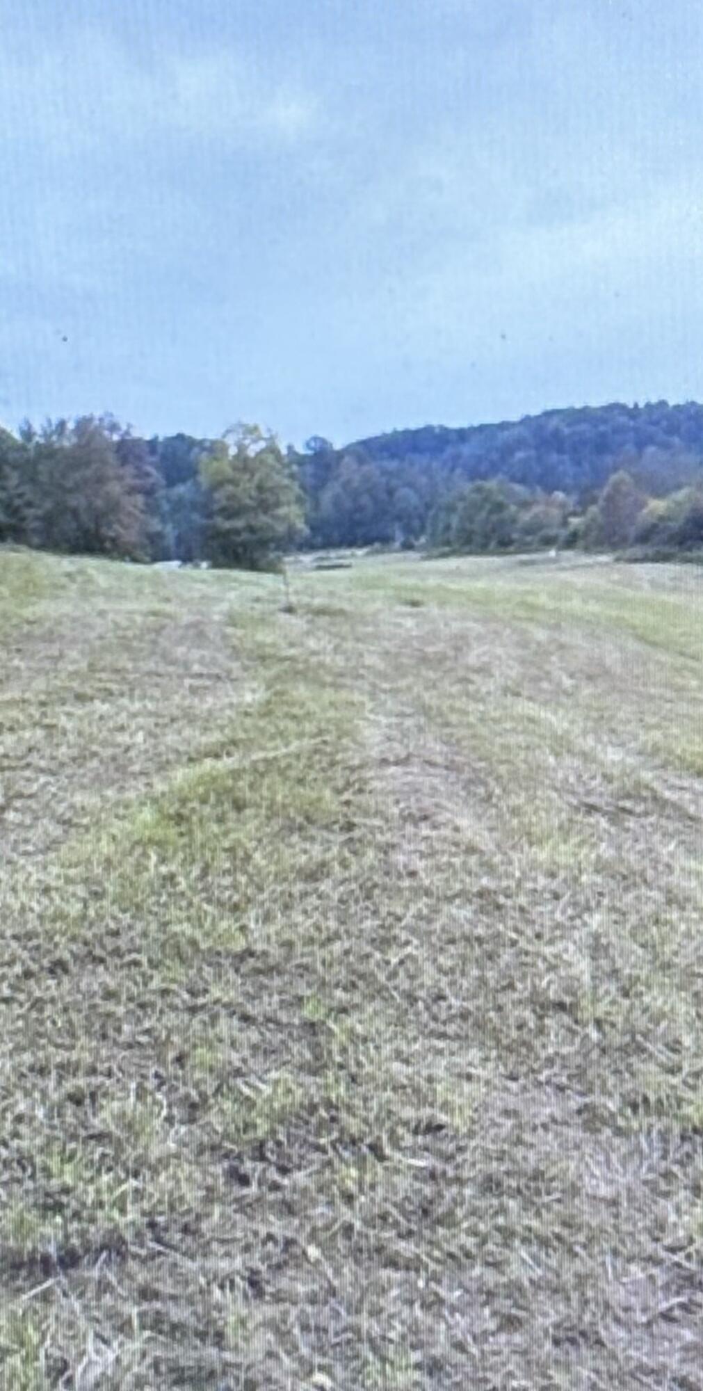 0 State Hwy 233 Property Photo 8