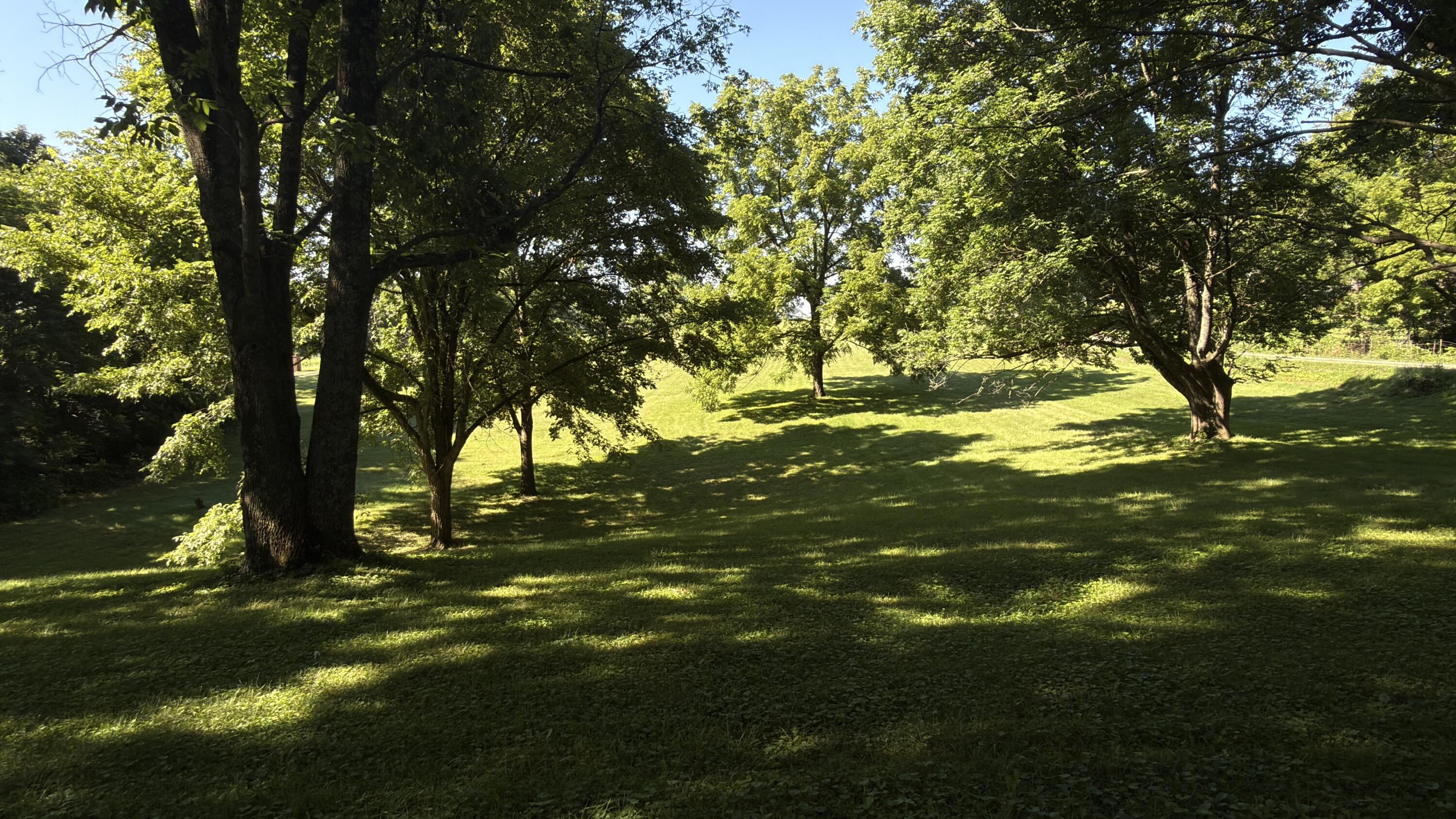 297 White Station Road Property Photo 49