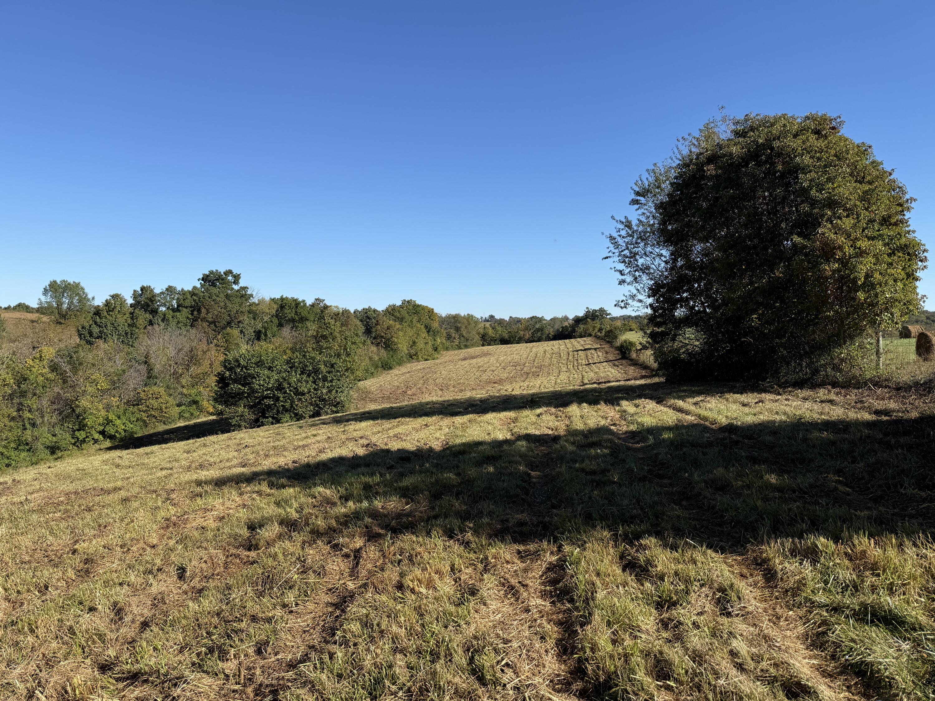 297 White Station Road Property Photo 64