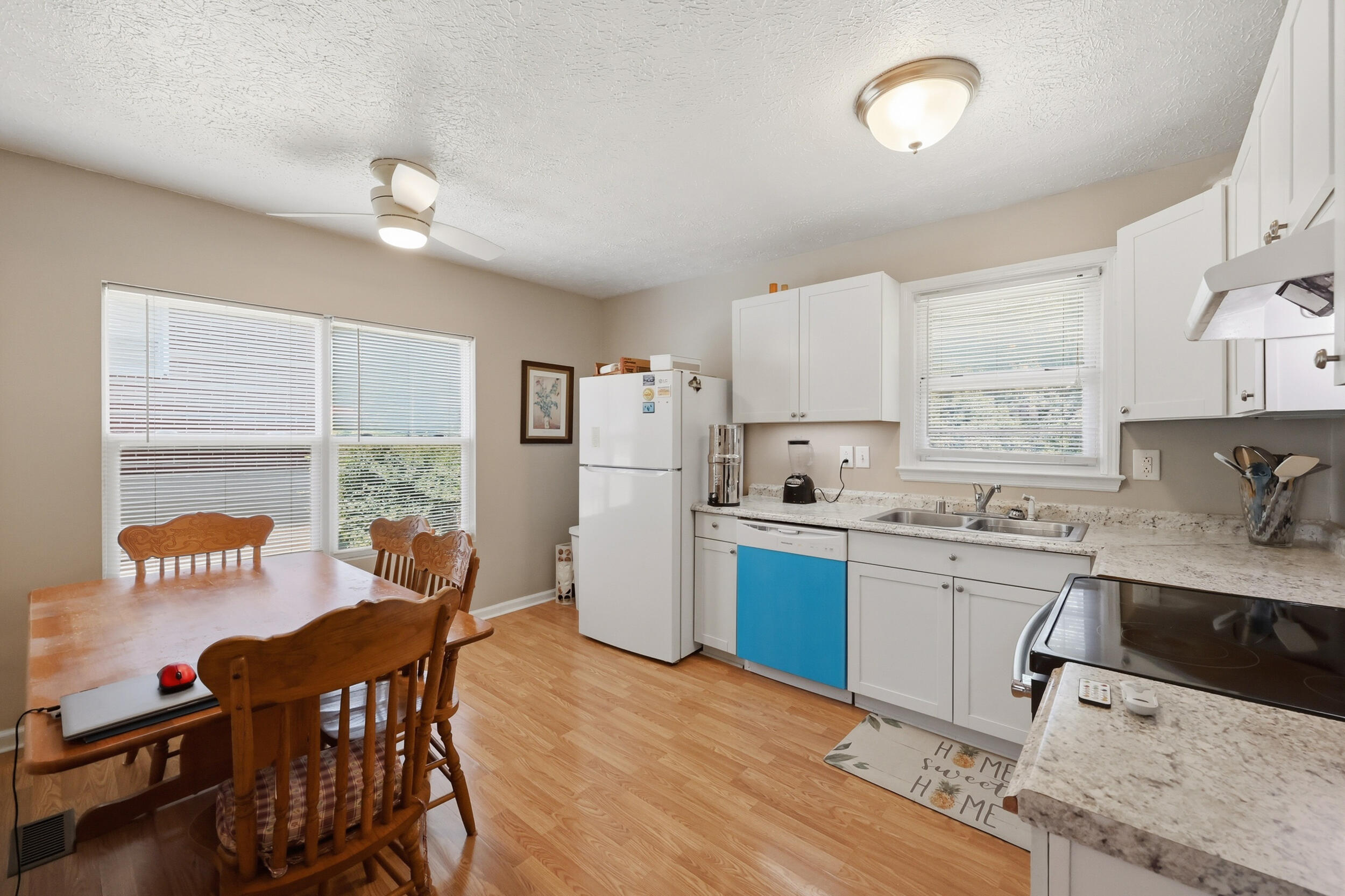 219 Mount Vernon Drive Property Photo 6