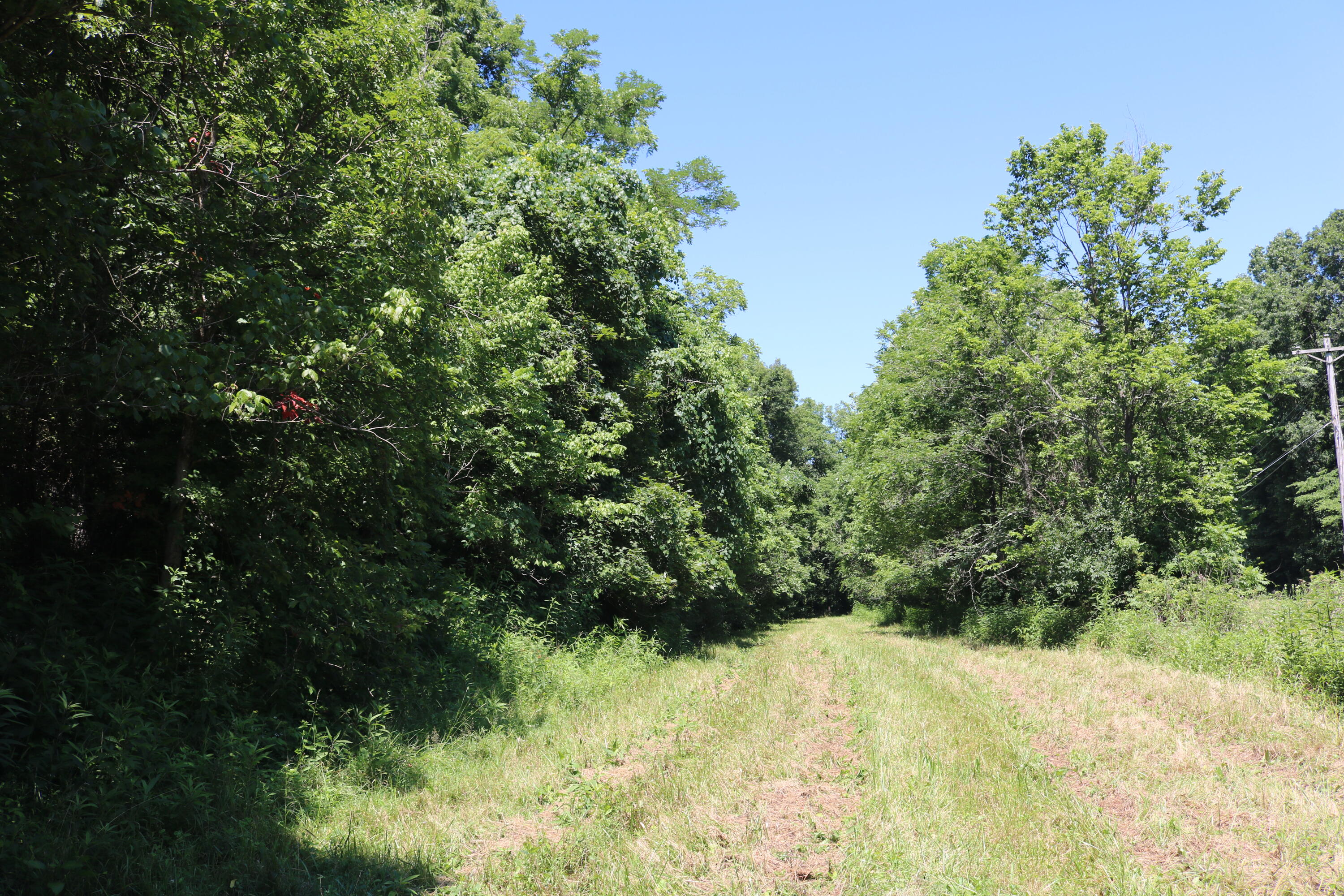 1-a Dog Walk Road Property Photo 3