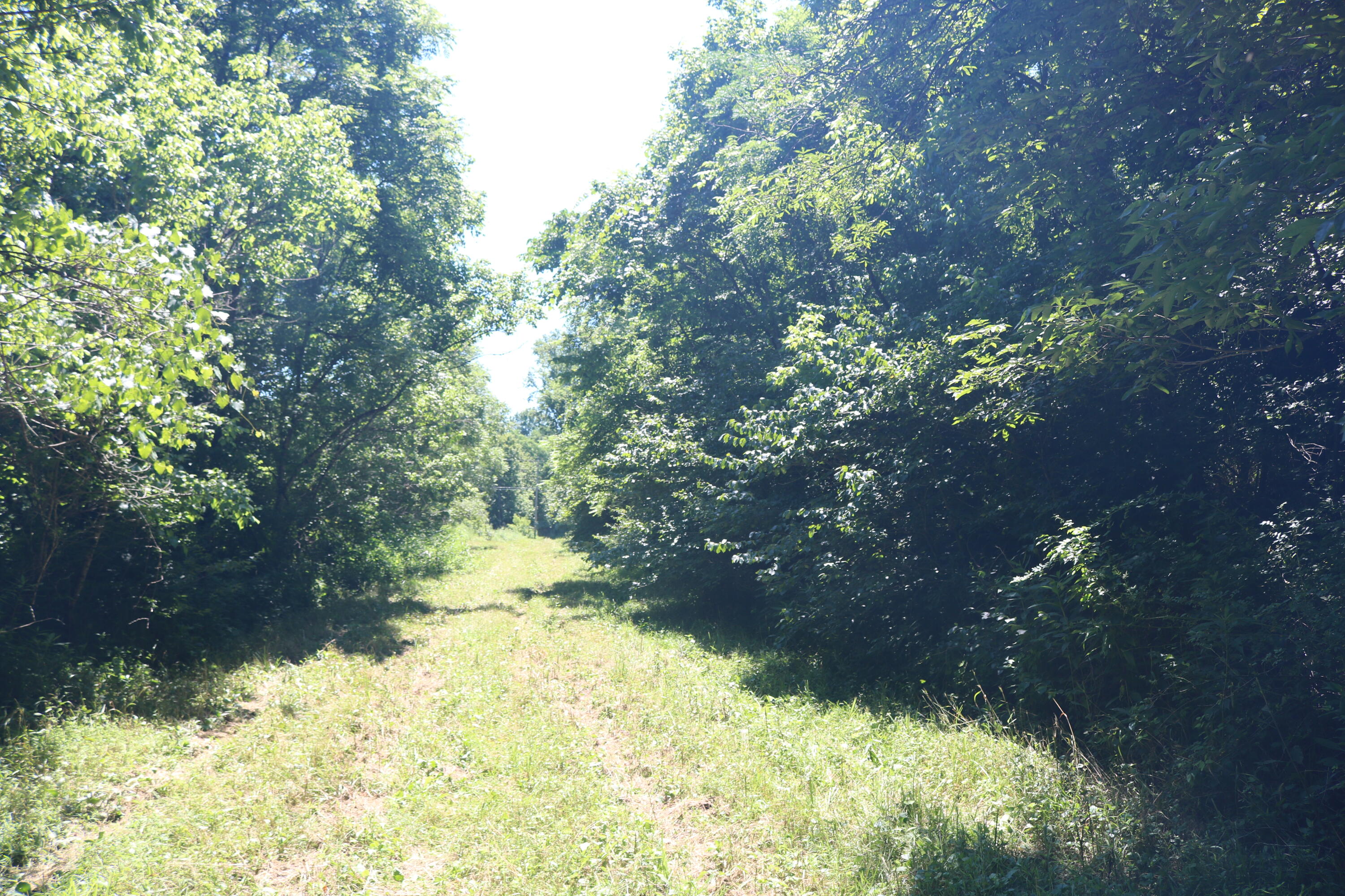1-a Dog Walk Road Property Photo 5