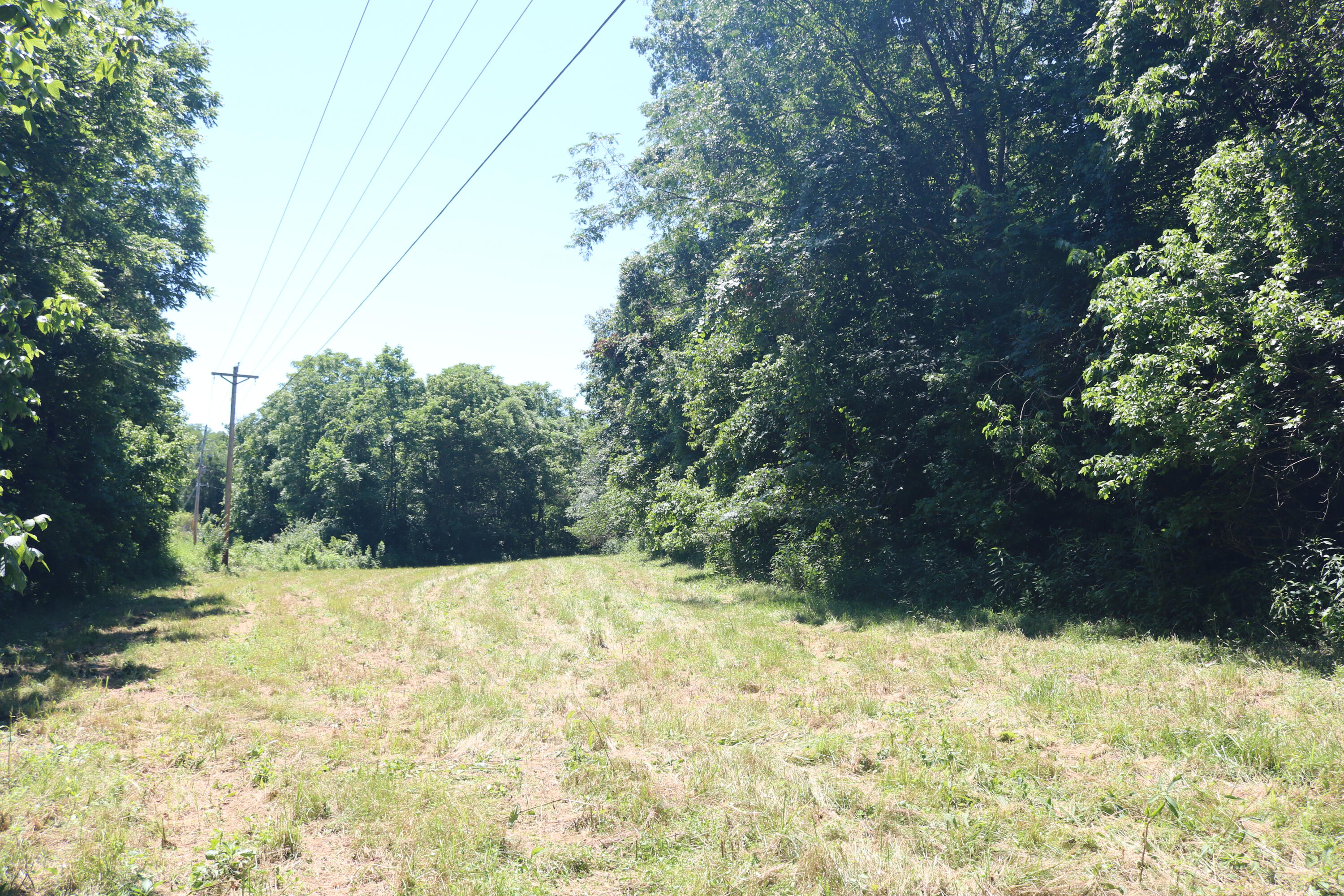 1-a Dog Walk Road Property Photo 7