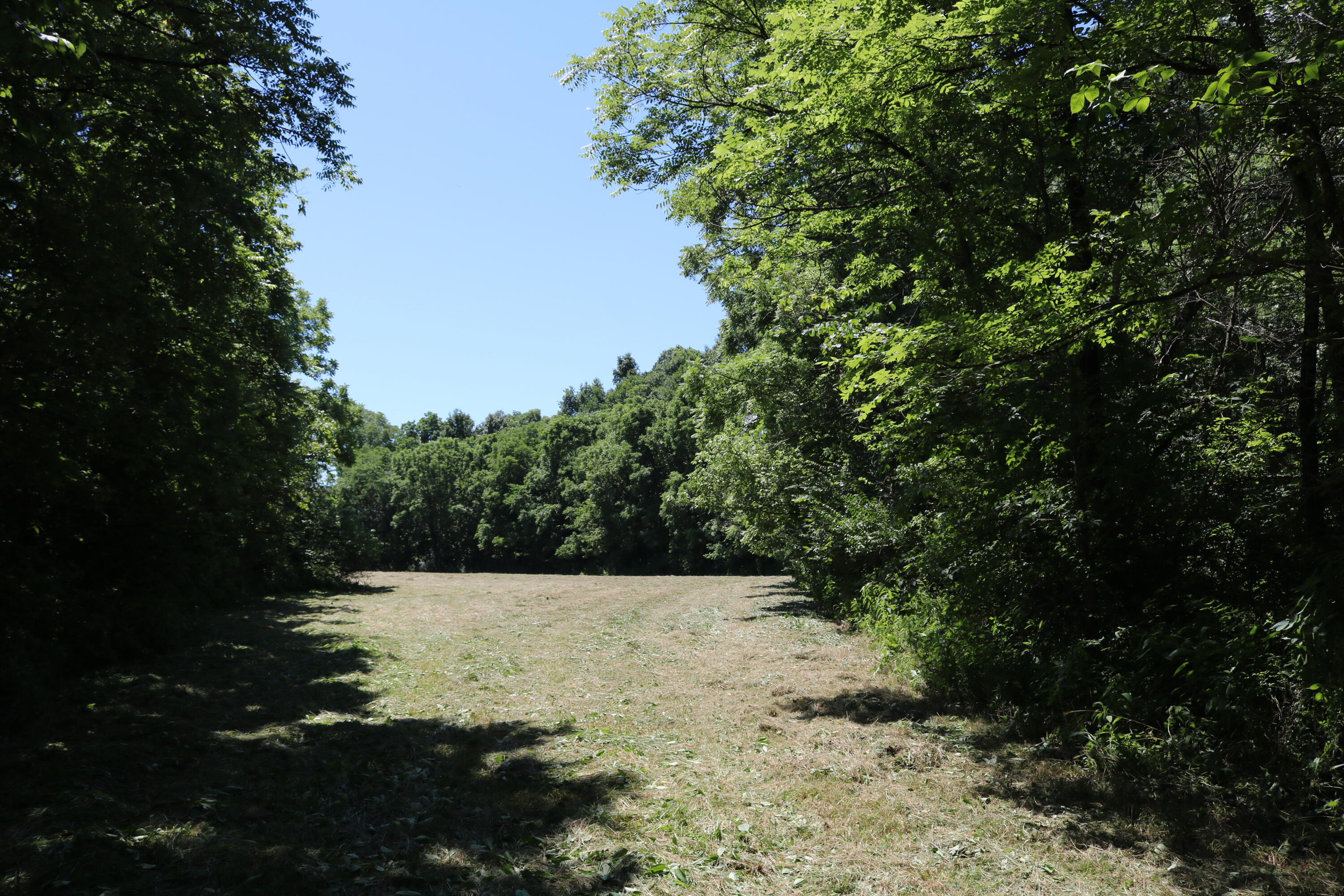 1-a Dog Walk Road Property Photo 9