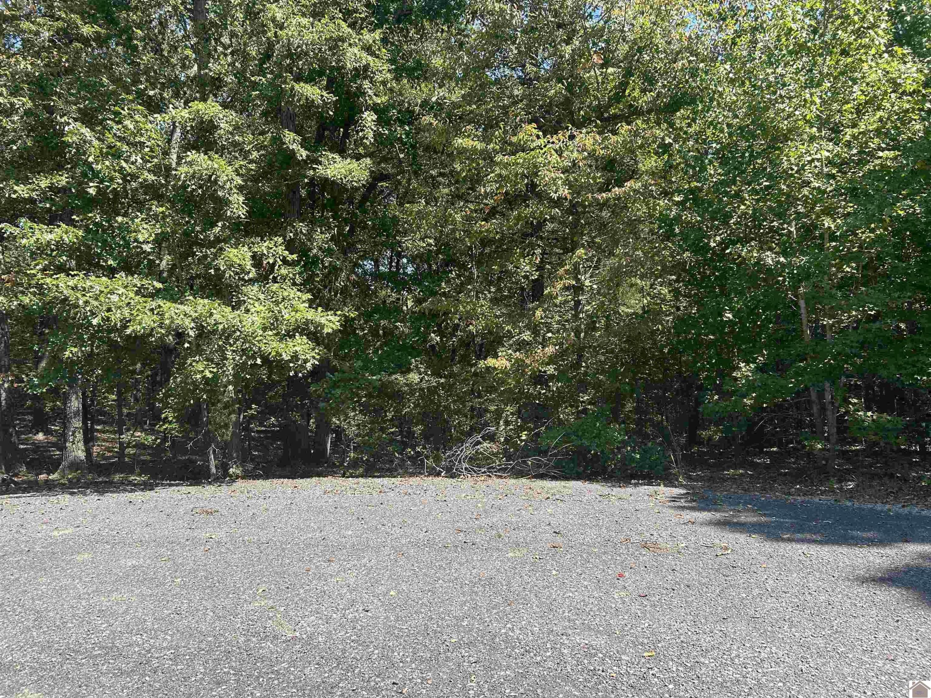 142 Trails End Lane Property Photo 8