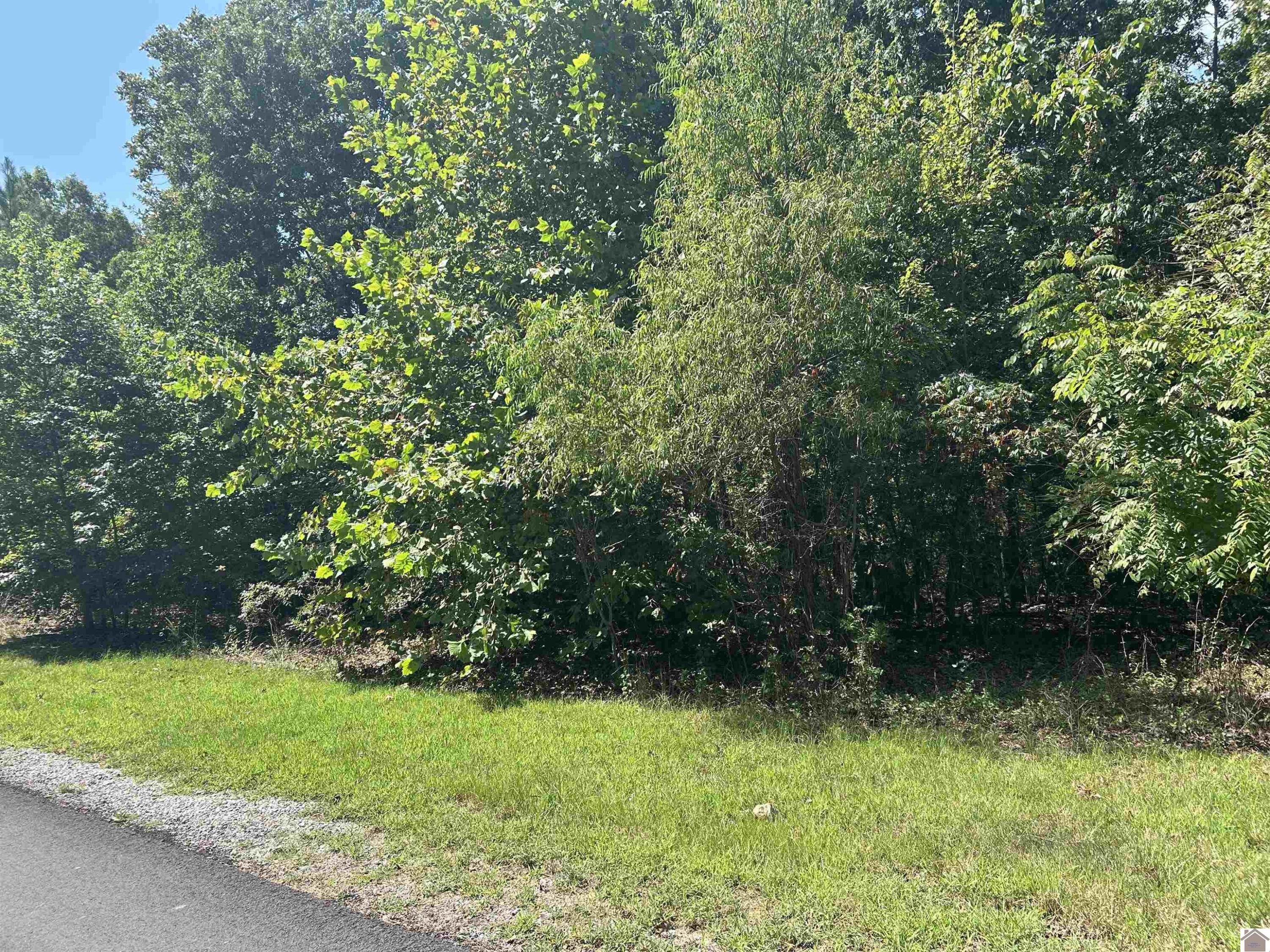 150 Centerview Road Property Photo 2