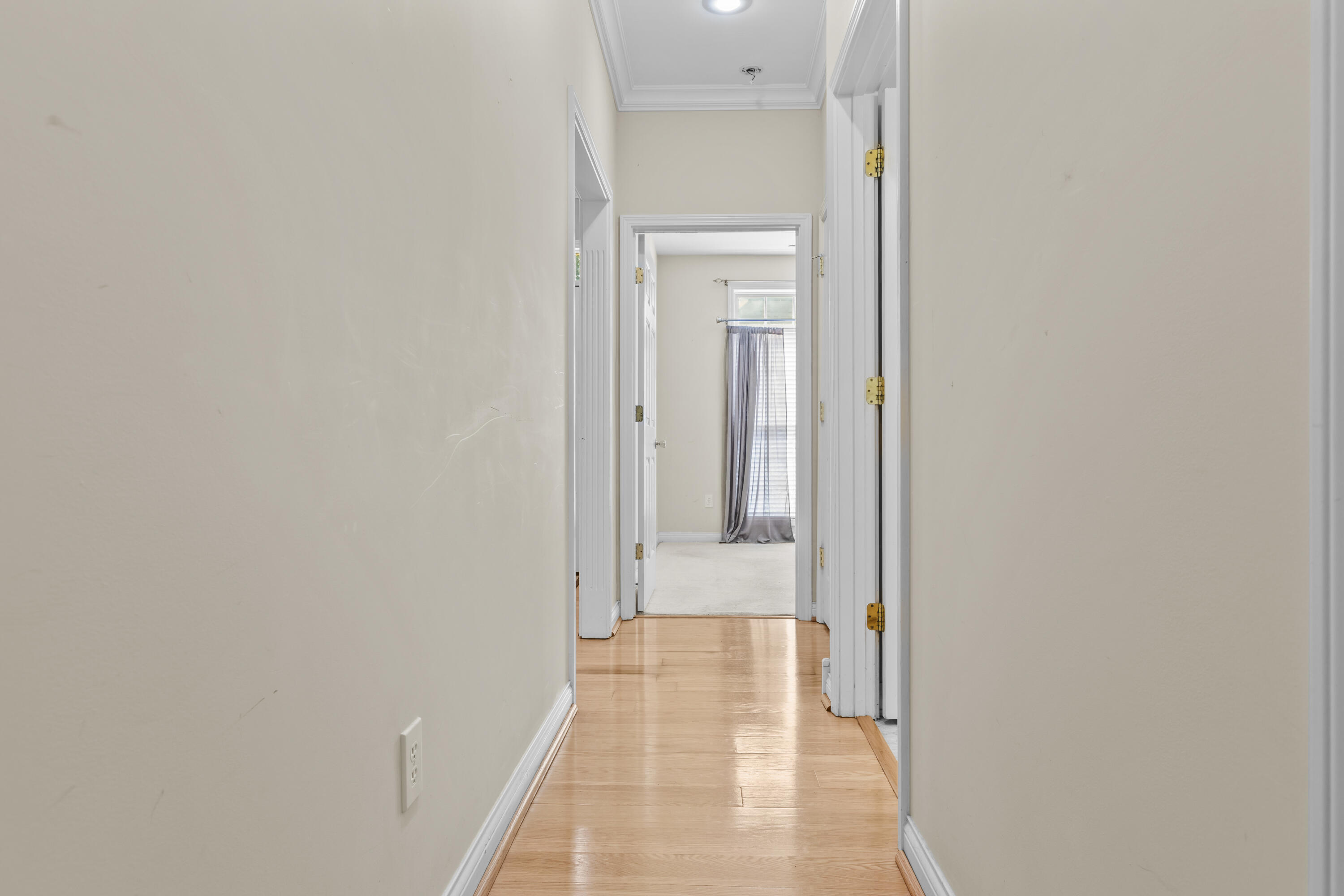 2228 Dunhill Lane Property Photo 21