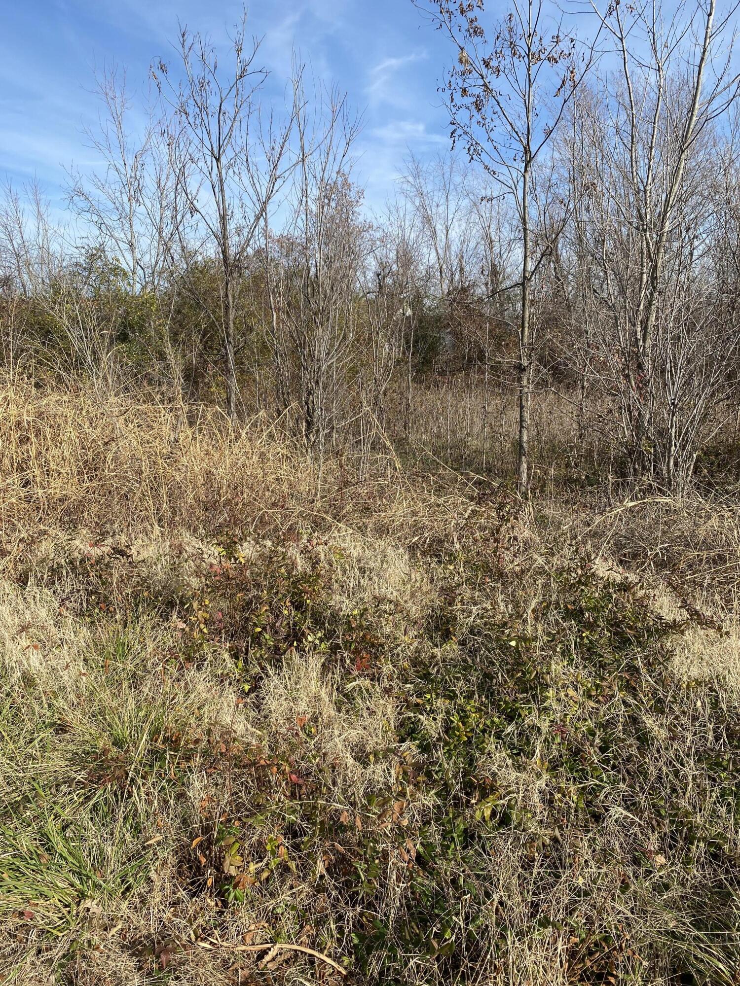 330 Grace Road Property Photo 1