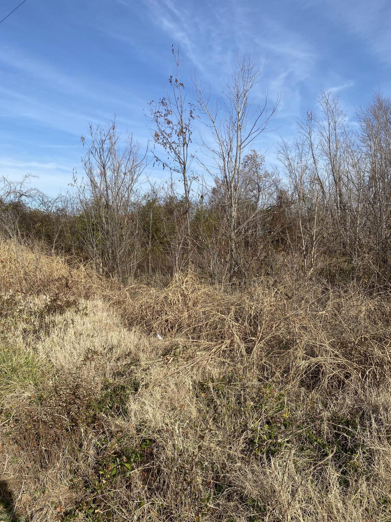 330 Grace Road Property Photo 5