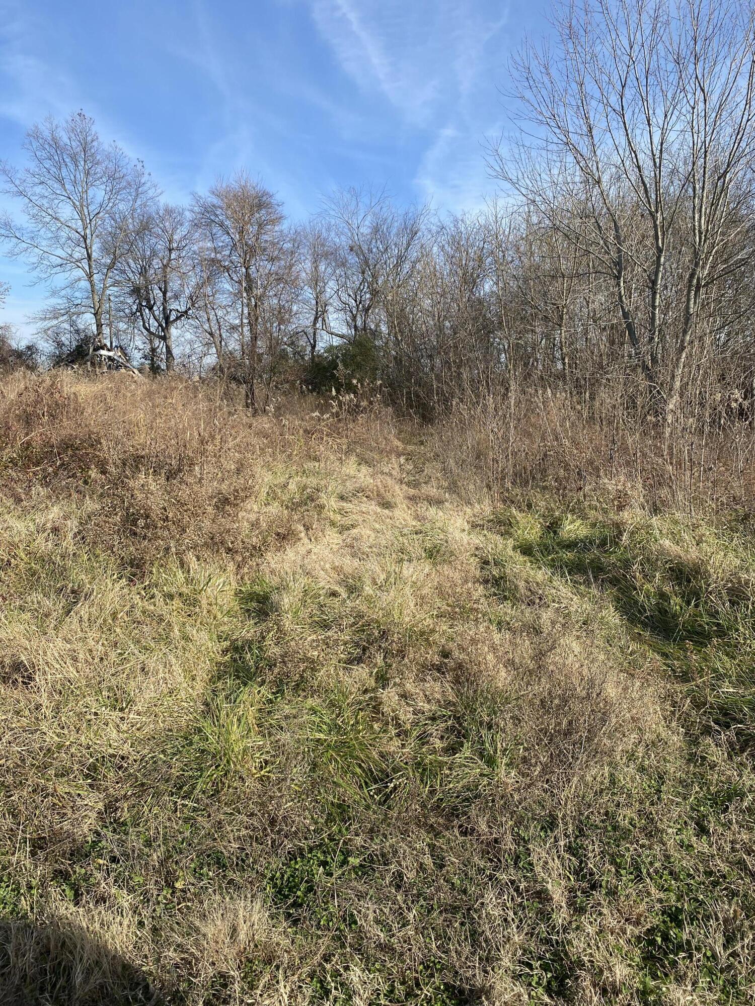 330 Grace Road Property Photo 12