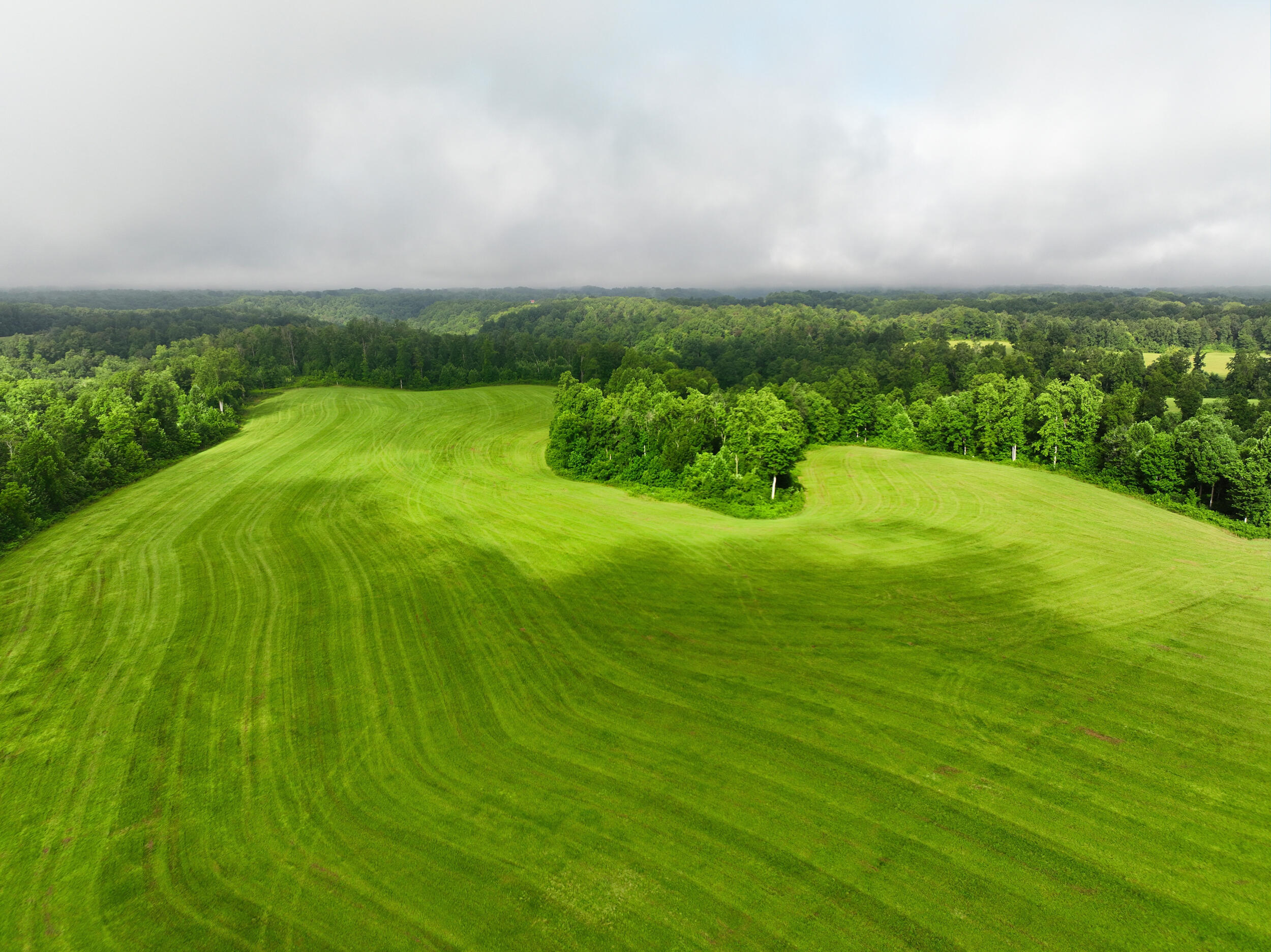 1475 Gosser Ridge Road Property Photo 7