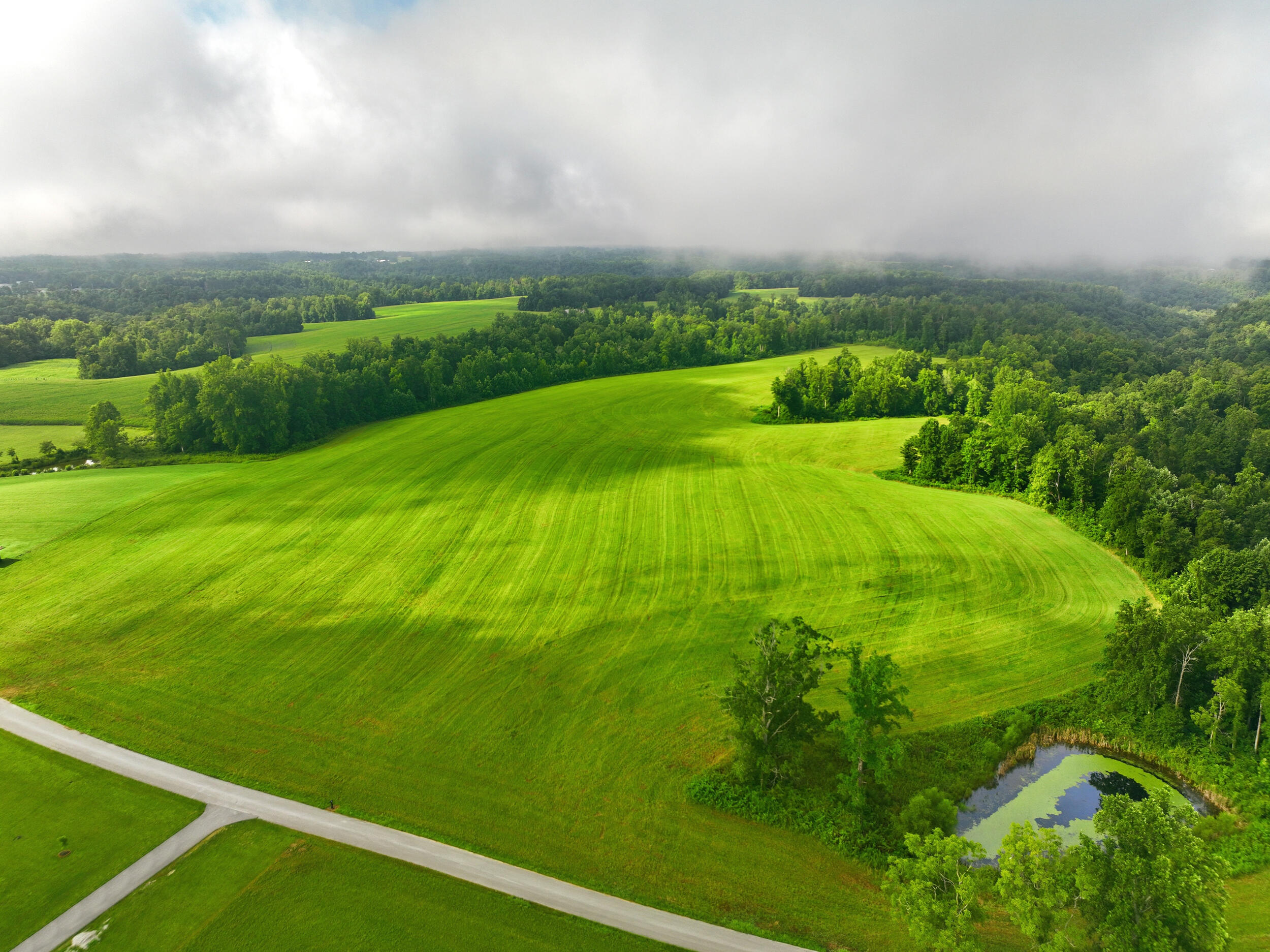 1475 Gosser Ridge Road Property Photo 9