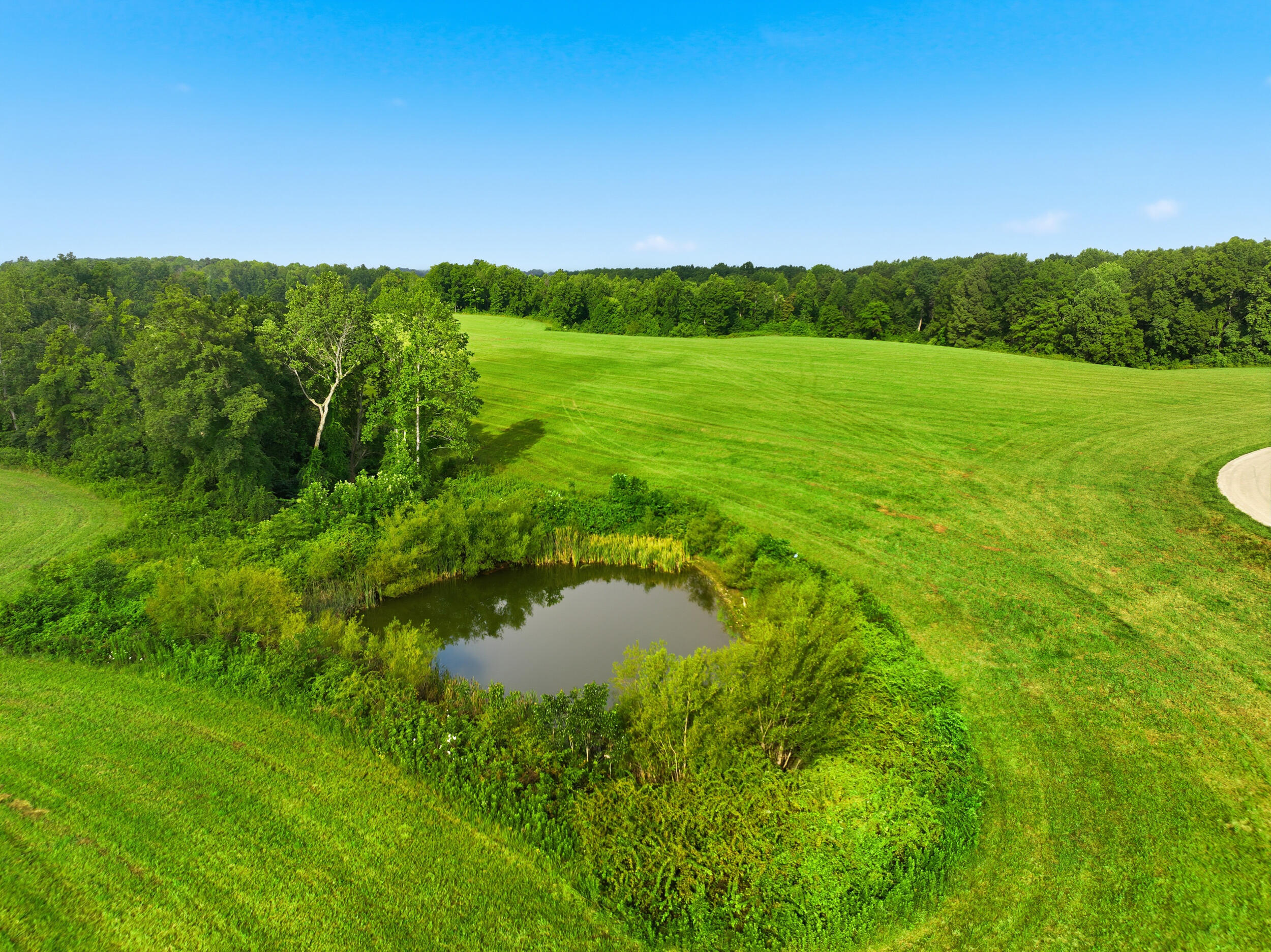 1475 Gosser Ridge Road Property Photo 10