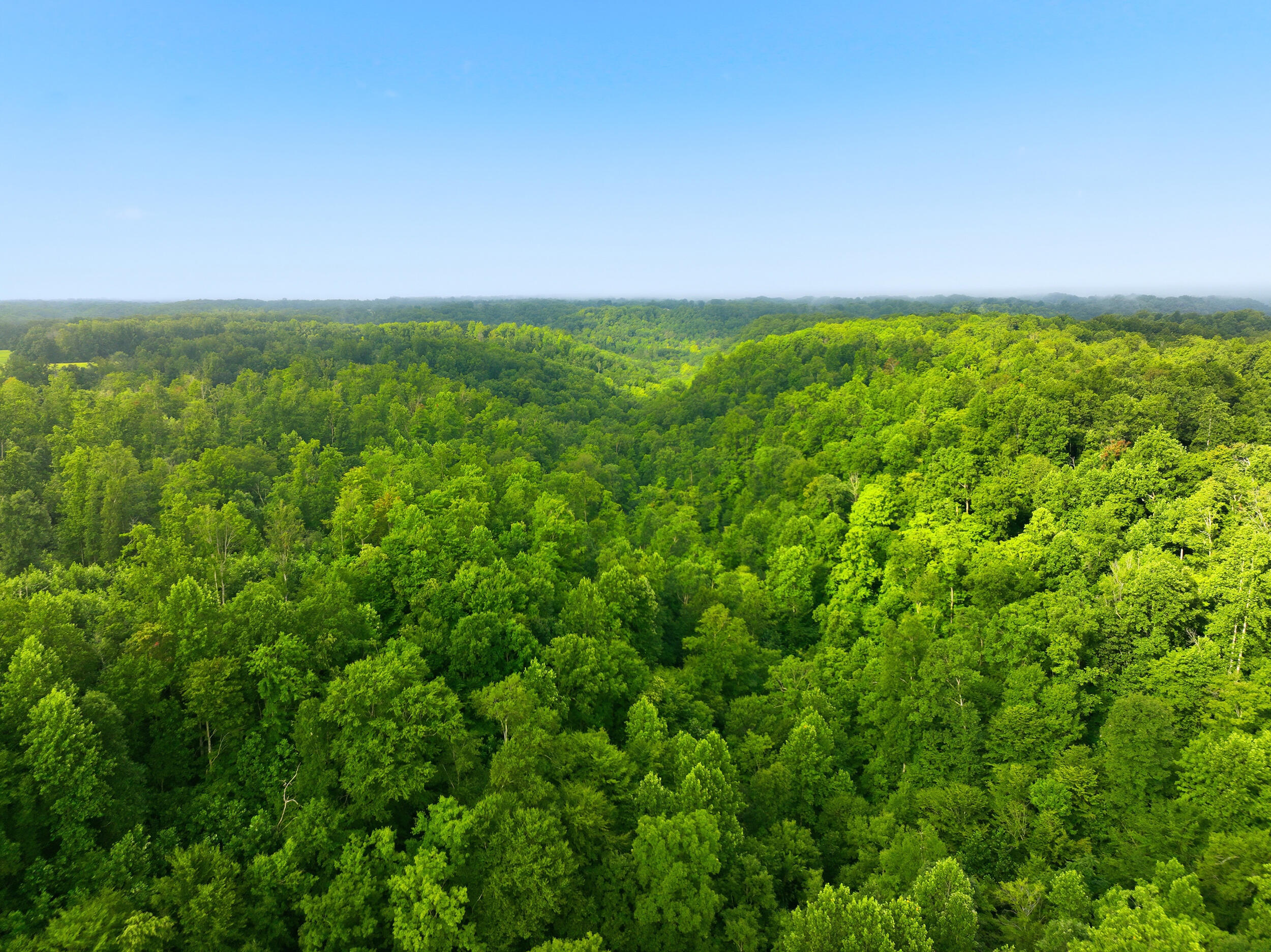1475 Gosser Ridge Road Property Photo 18