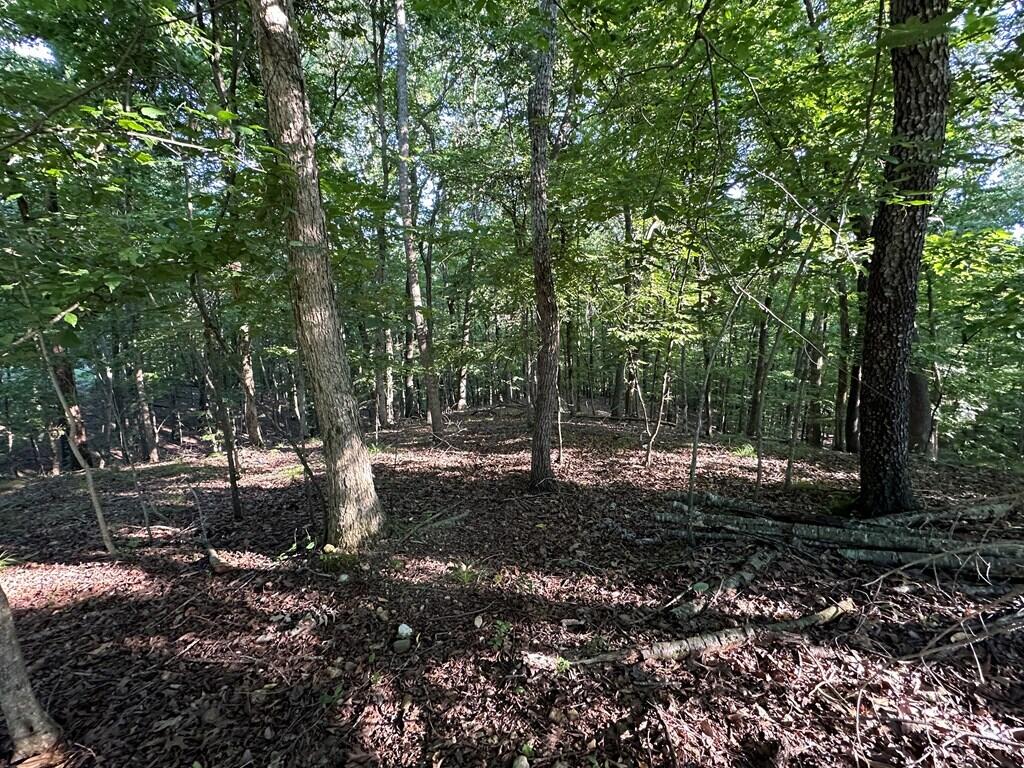 Lot 14 Malcoms Point Road Property Photo 5