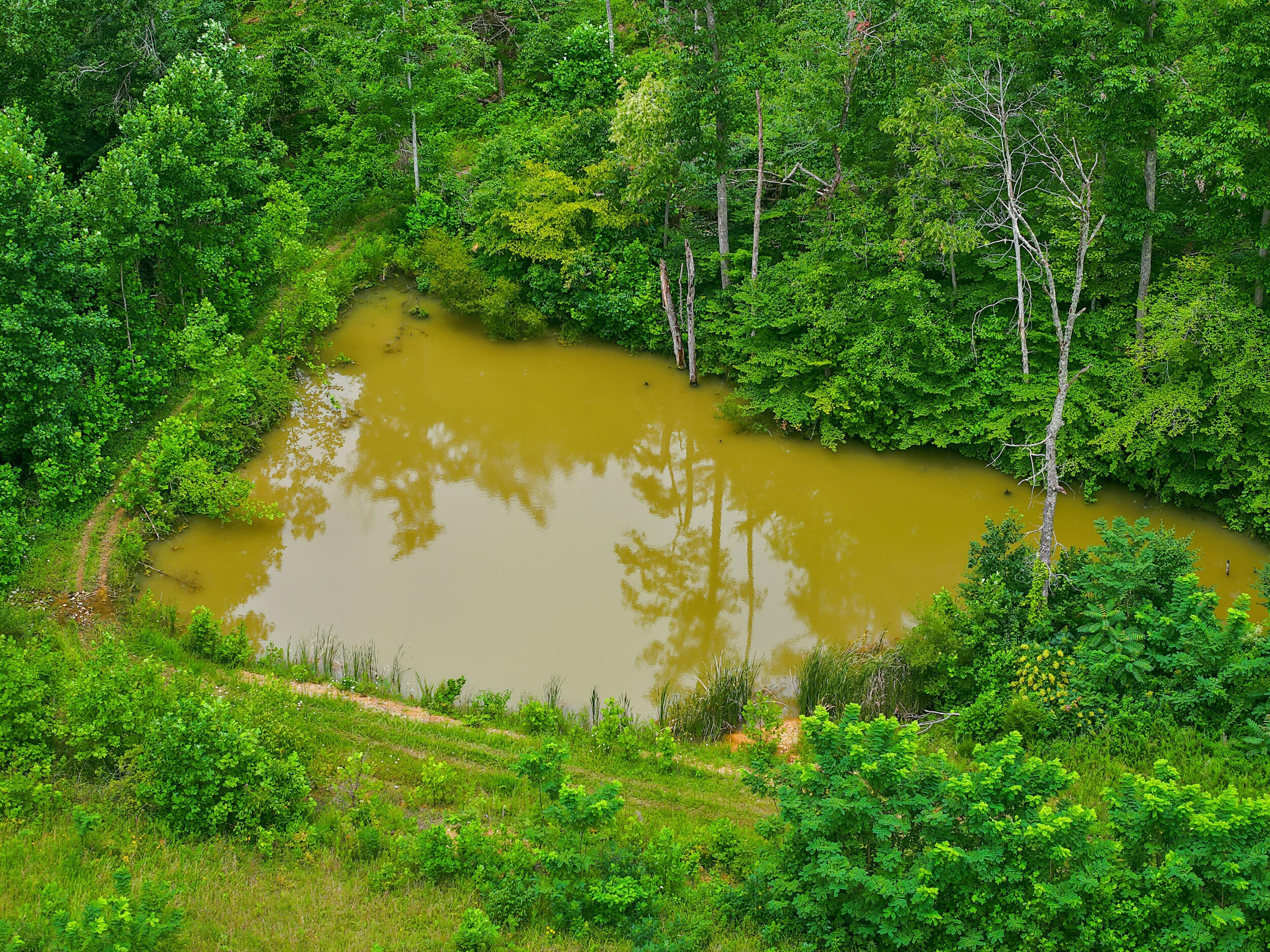 582 High Ridge Tower Road Property Photo 39