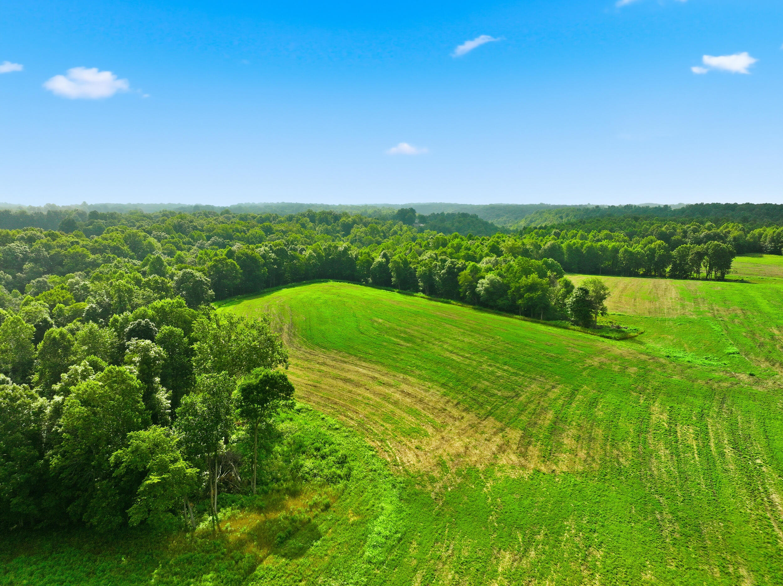 7255 Kentucky 70 Property Photo 9