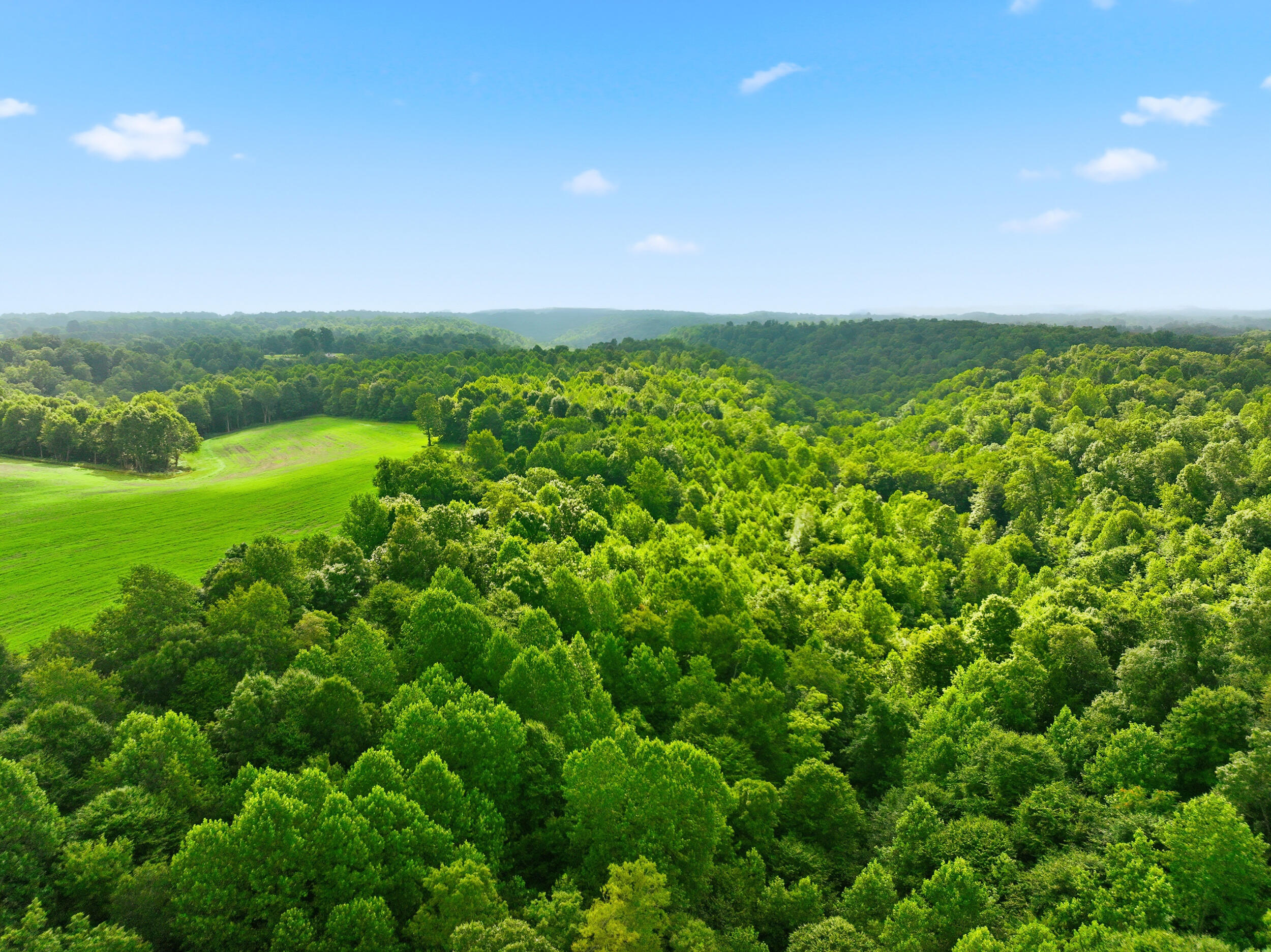 7255 Kentucky 70 Property Photo 14
