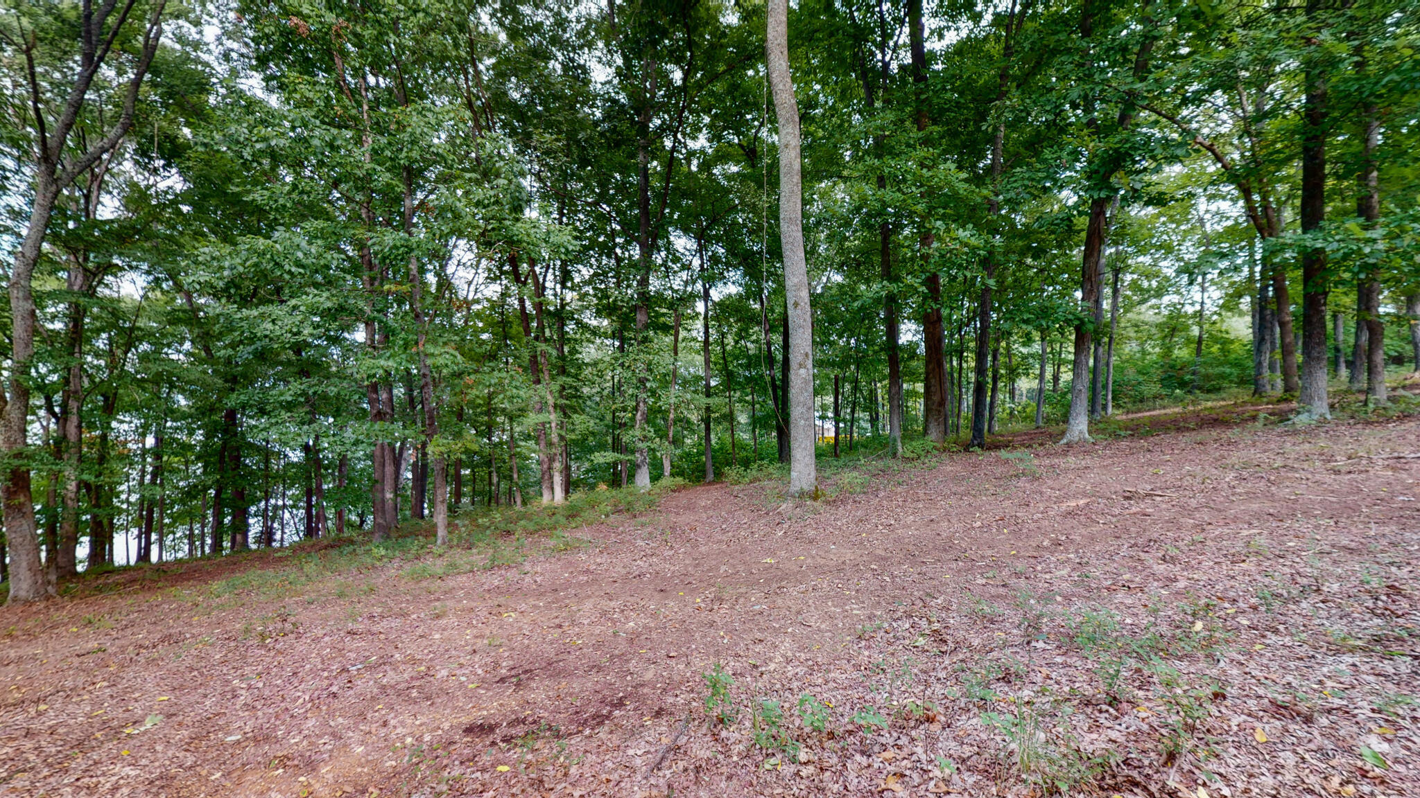 11 Tow Lane Property Photo 3