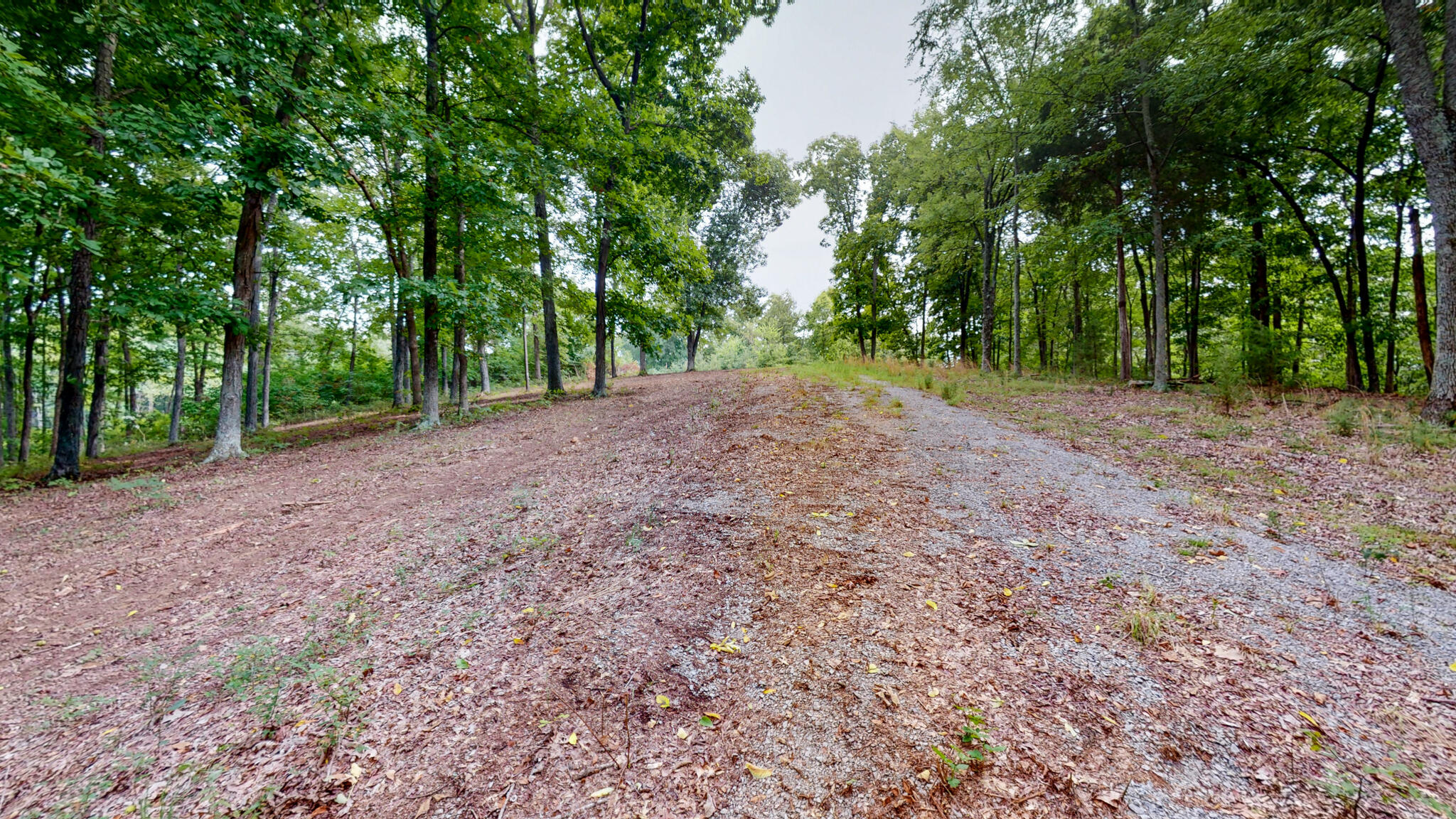 11 Tow Lane Property Photo 4