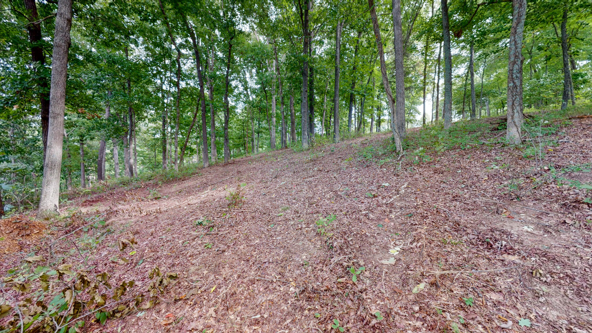 11 Tow Lane Property Photo 7