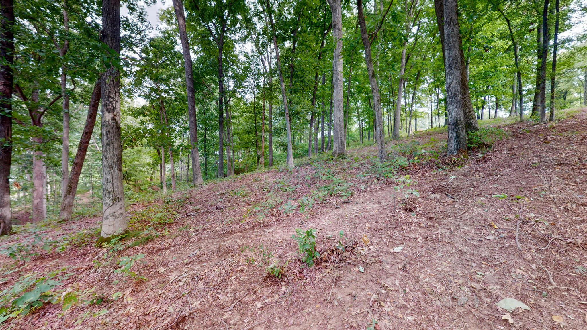 11 Tow Lane Property Photo 12