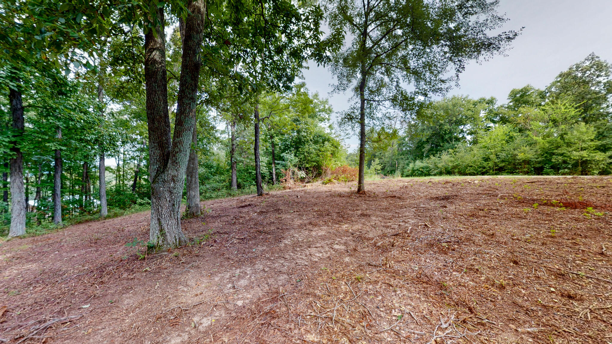 11 Tow Lane Property Photo 50