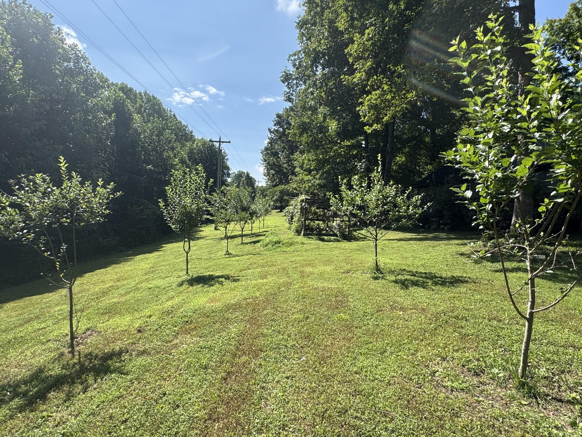 378 Shugars Hill Road Property Photo 31