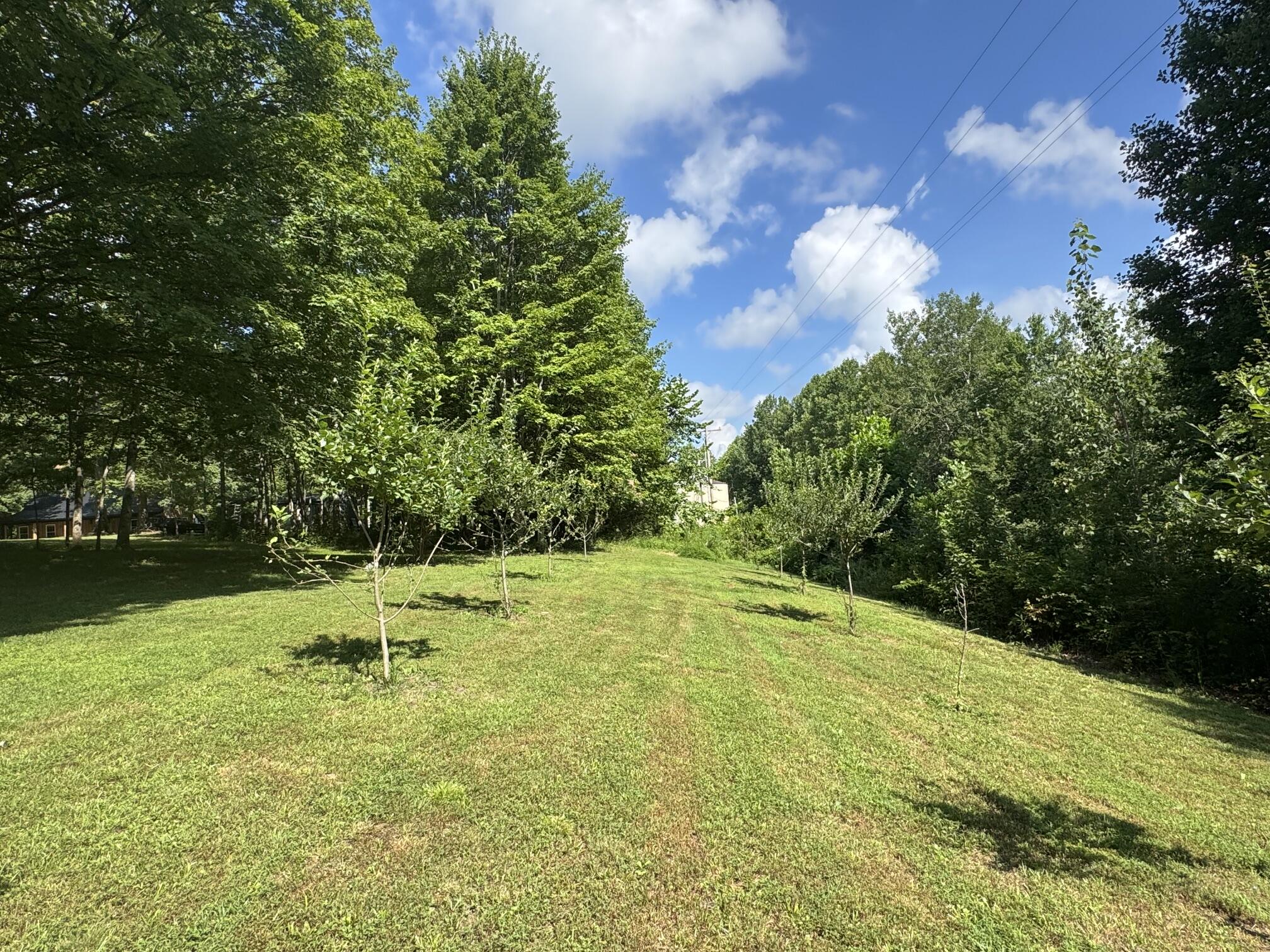378 Shugars Hill Road Property Photo 32