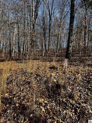 Lot 36 Canton Heights 2 Circle Property Photo 2