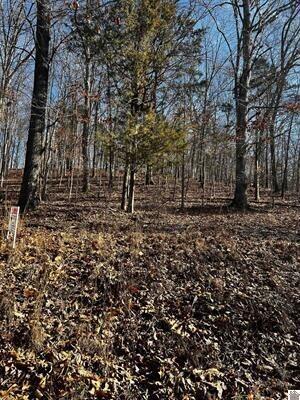 Lot 36 Canton Heights 2 Circle Property Photo 3