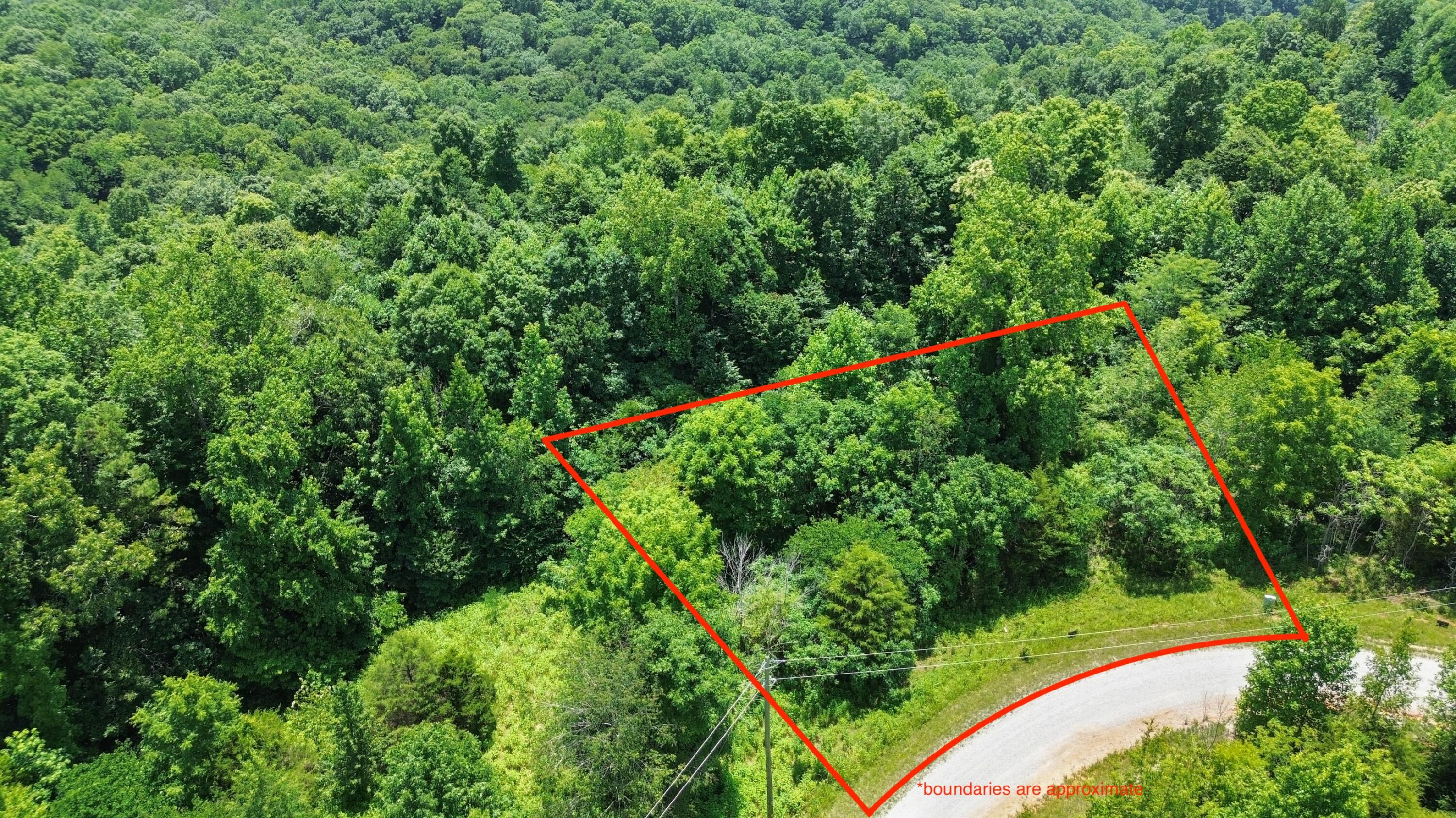 109 Kelly Circle Property Photo 7