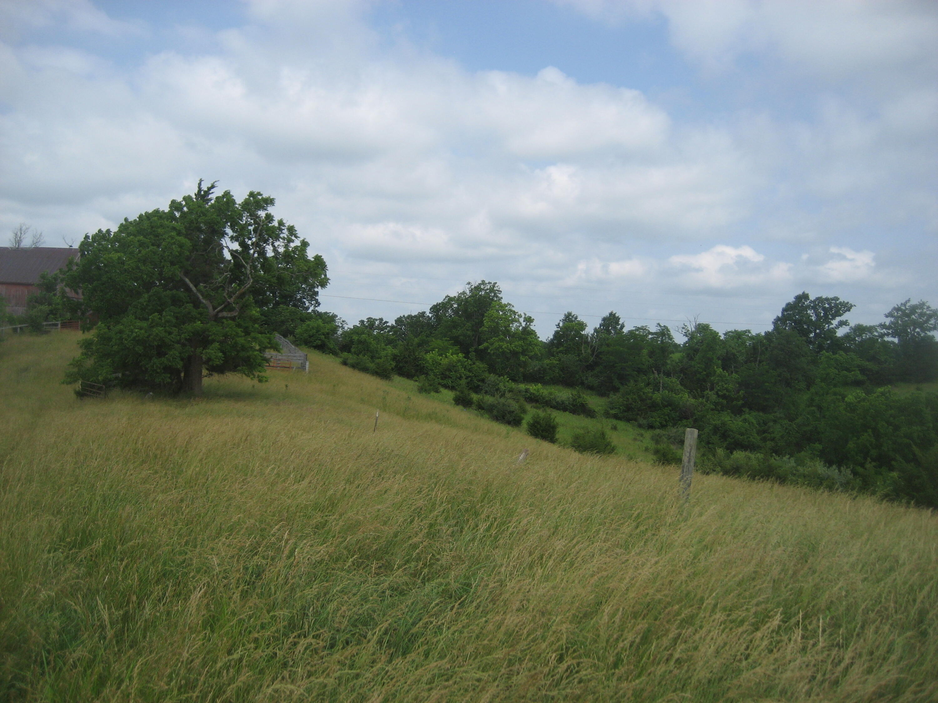 0000 Spider Road Property Photo 10