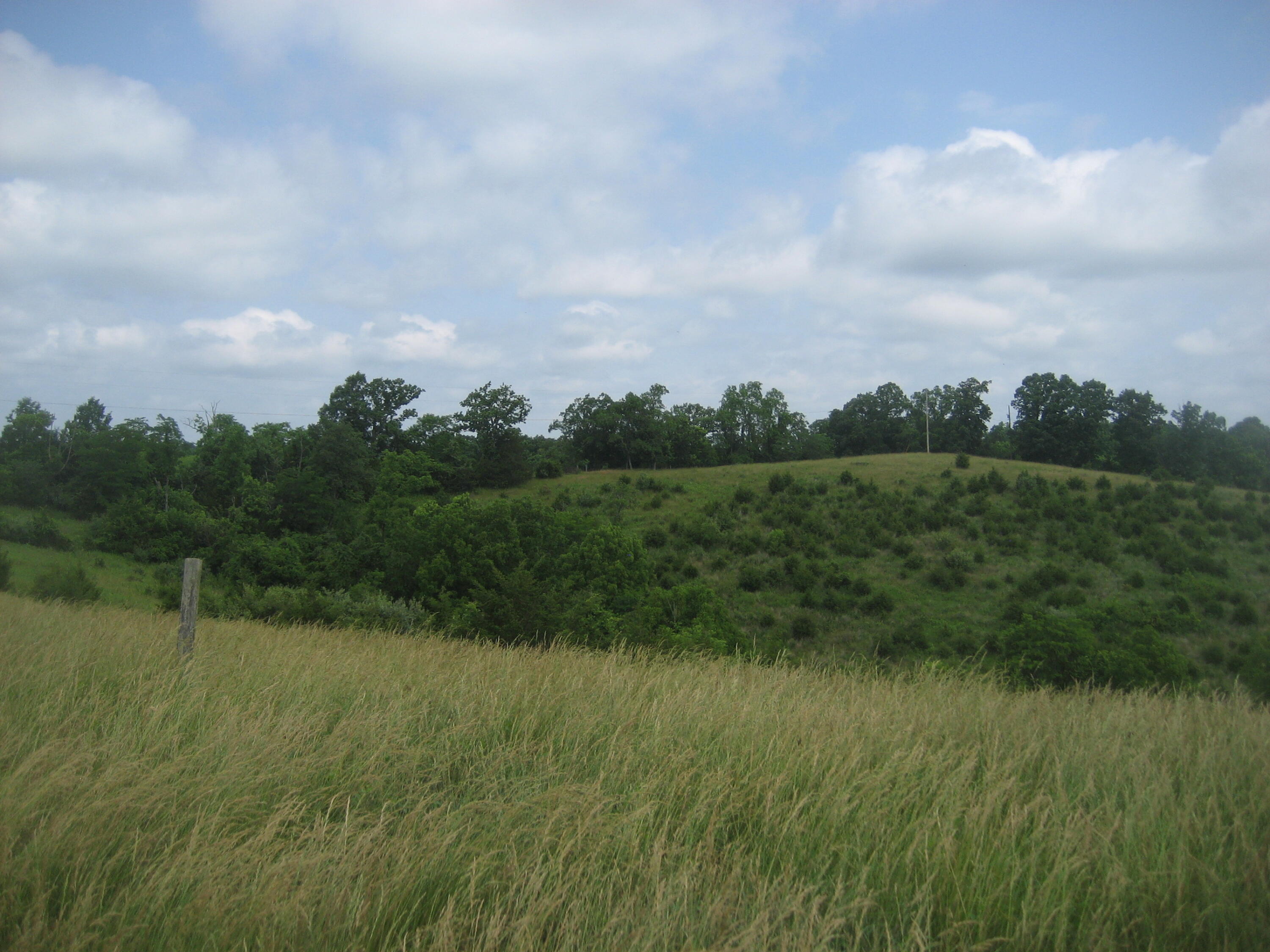 0000 Spider Road Property Photo 11