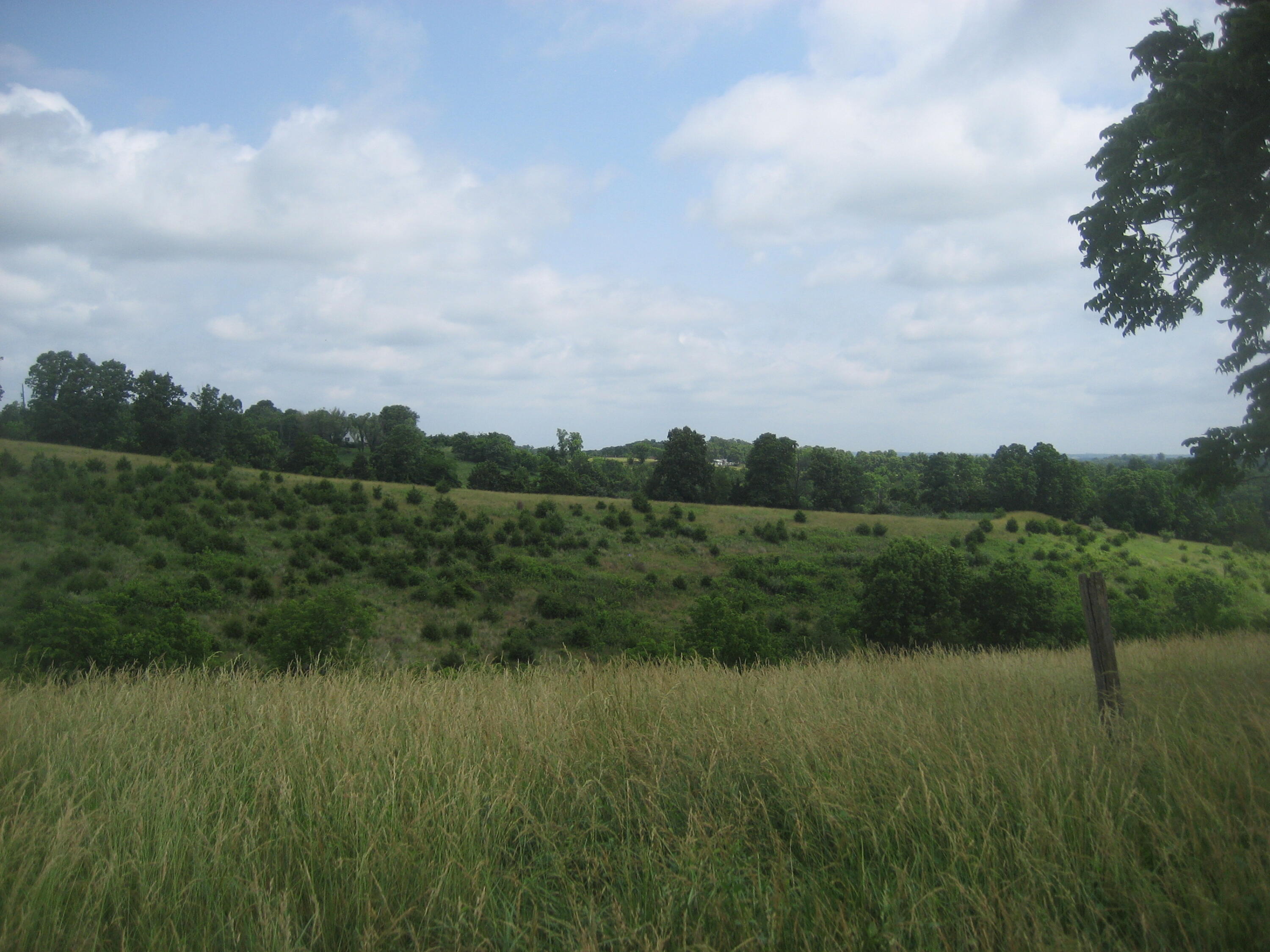 0000 Spider Road Property Photo 13