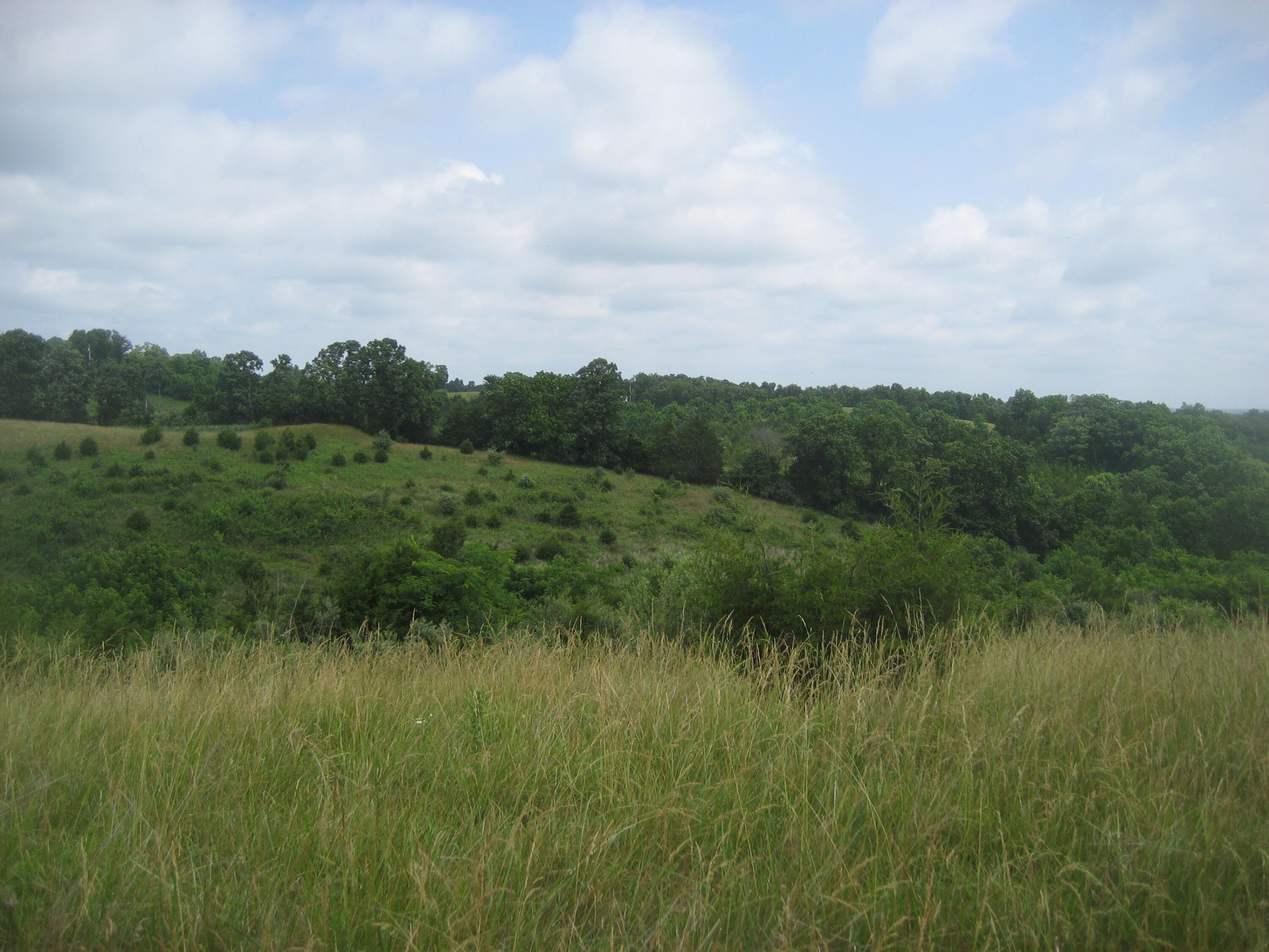 0000 Spider Road Property Photo 31