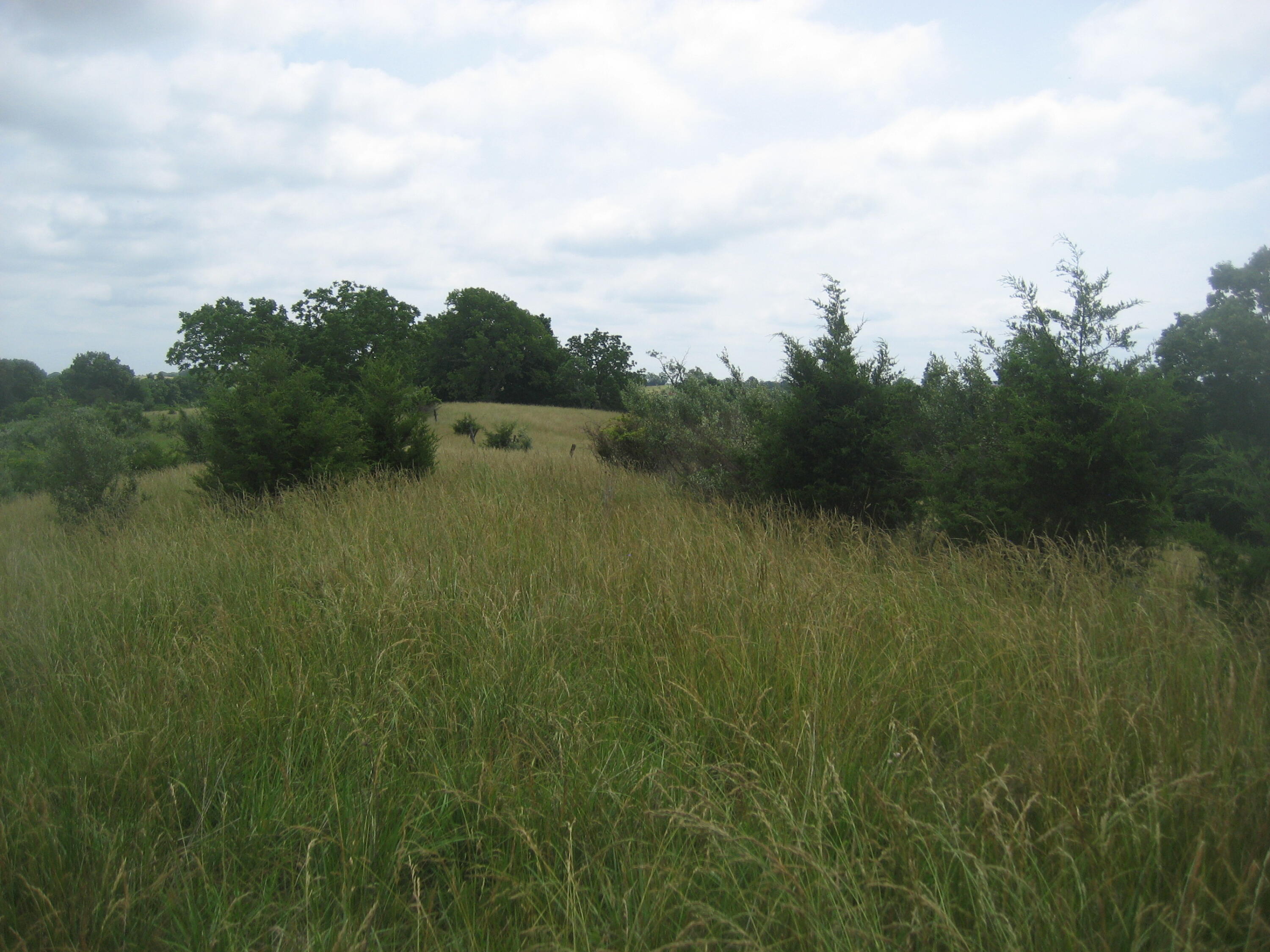 0000 Spider Road Property Photo 34