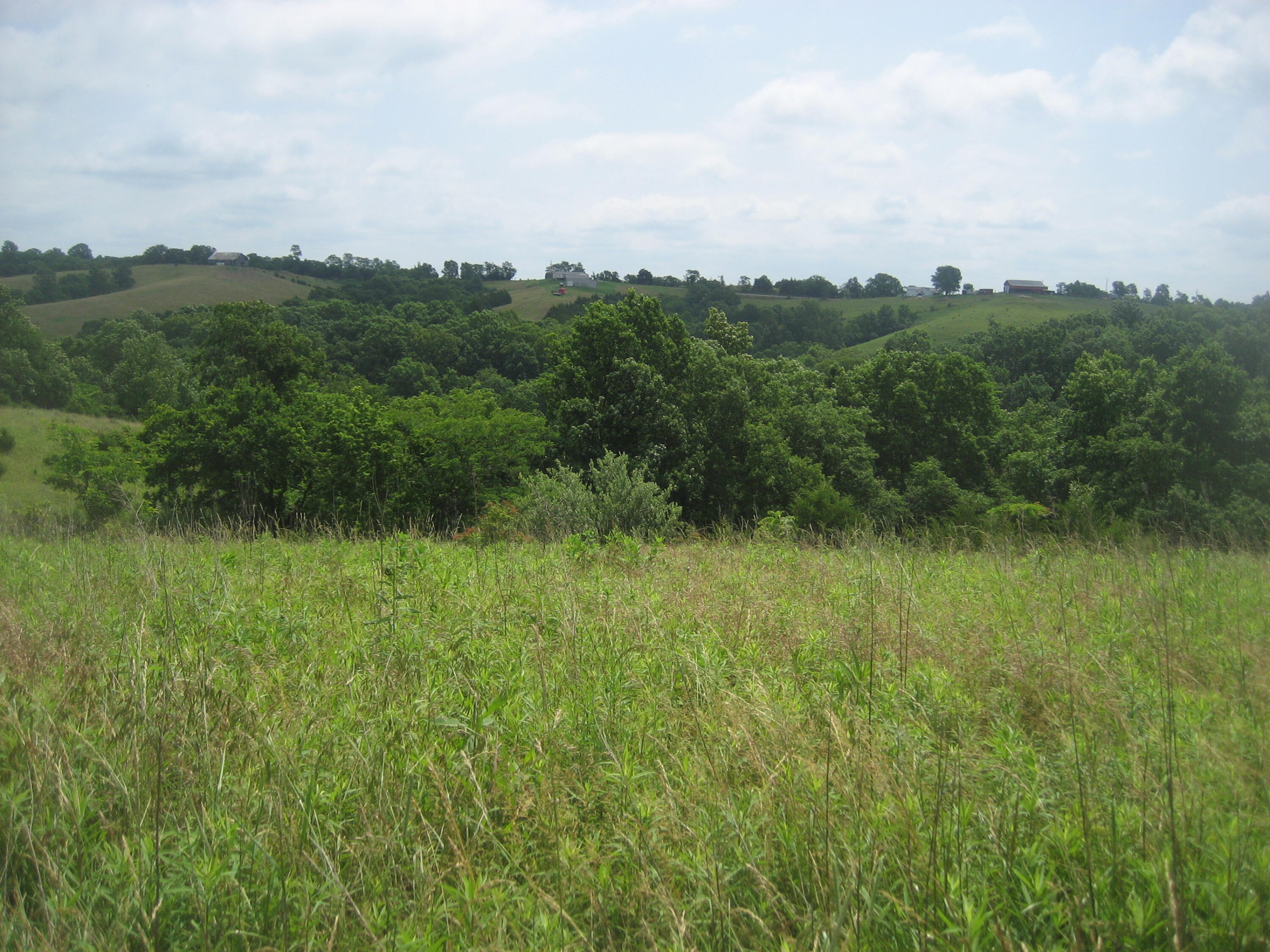0000 Spider Road Property Photo 39